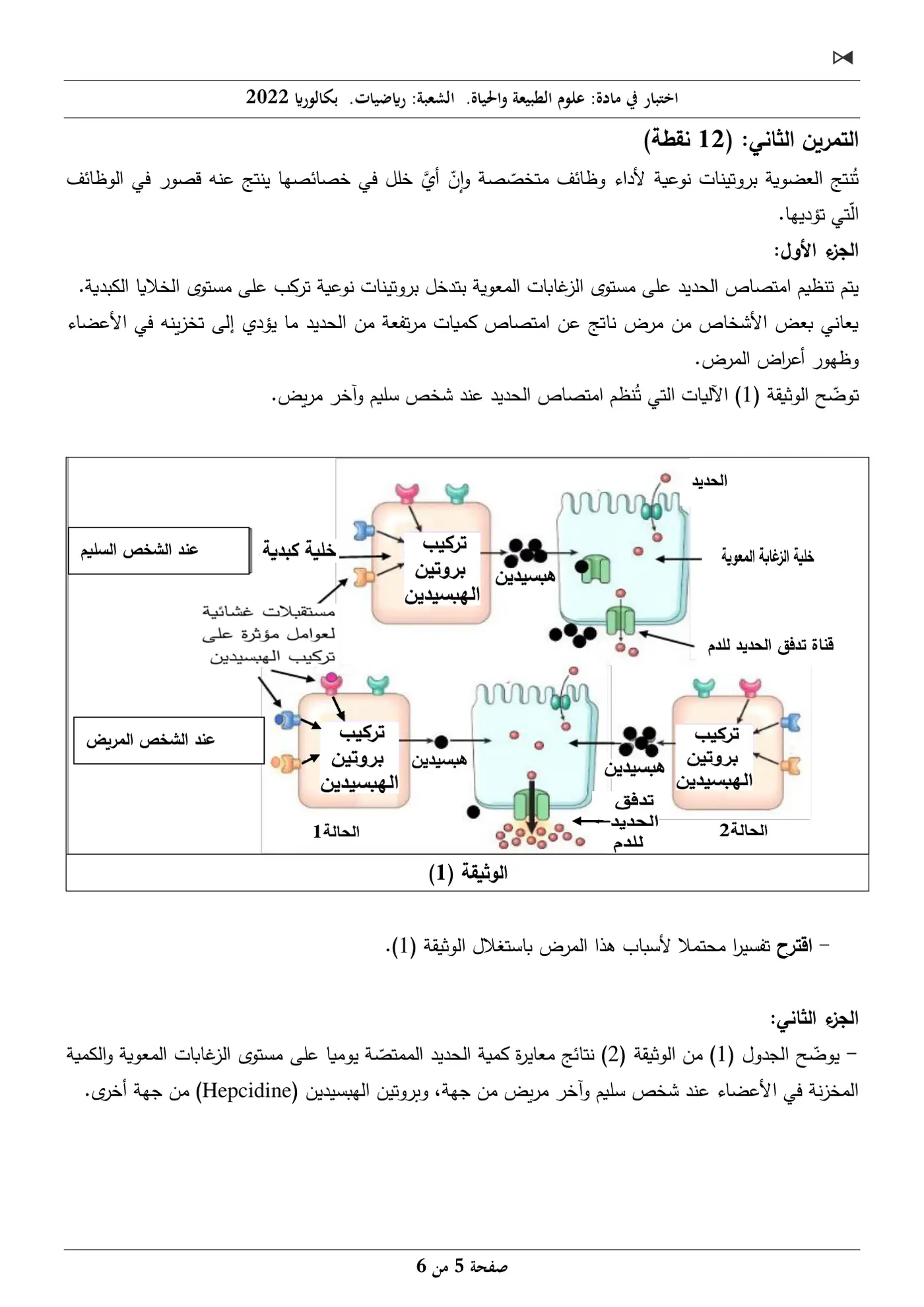 الصفحة 5 من 6