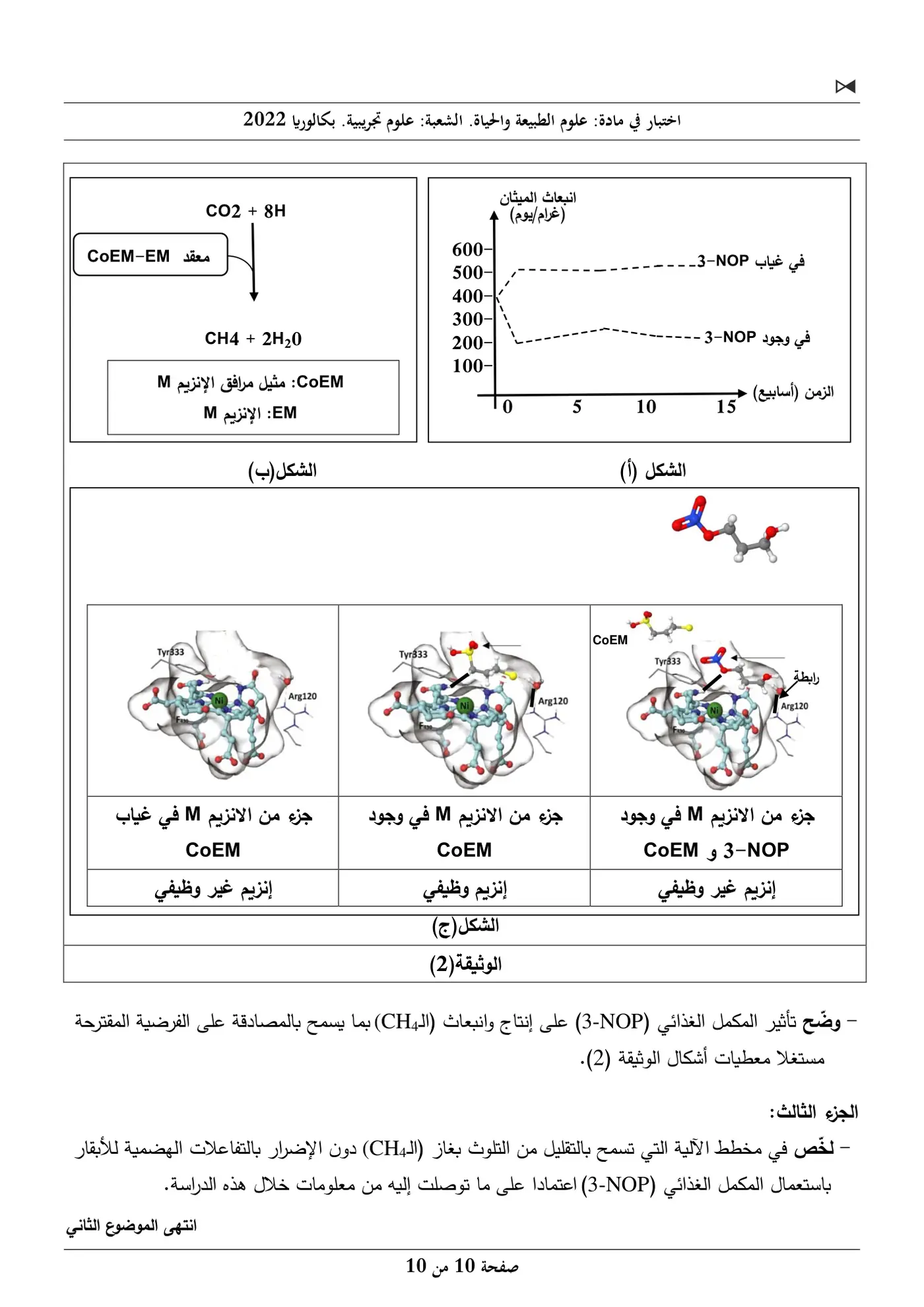 الصفحة 10 من 10
