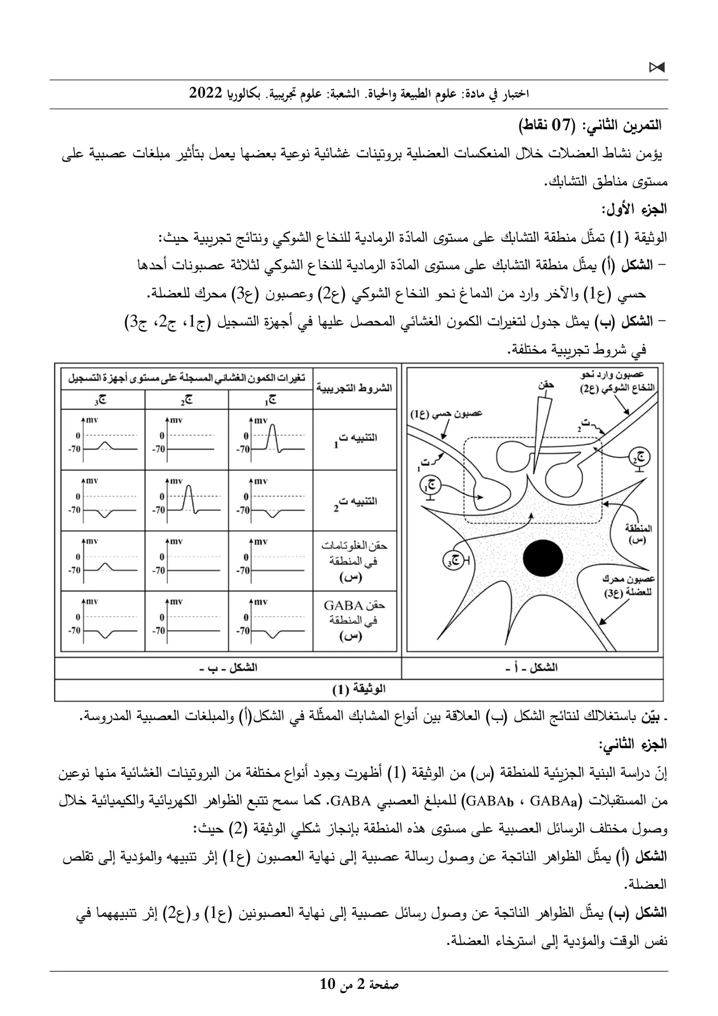 الصفحة 2 من 10