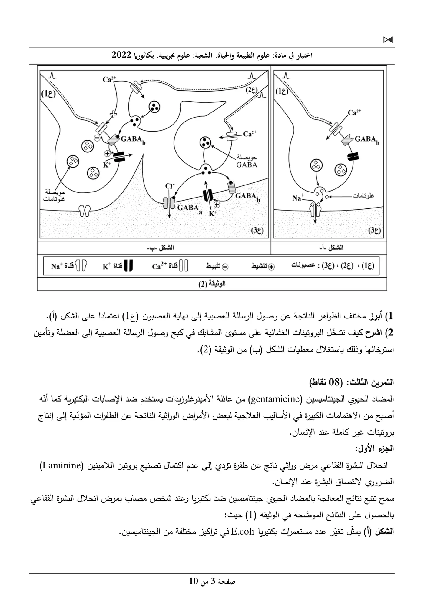الصفحة 3 من 10