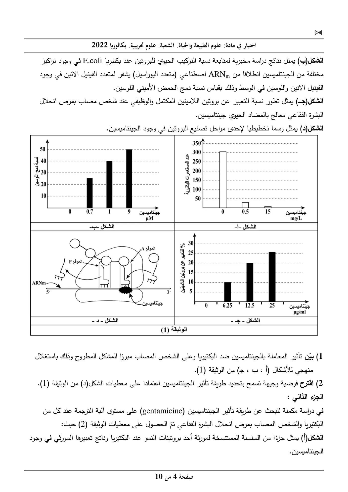 الصفحة 4 من 10