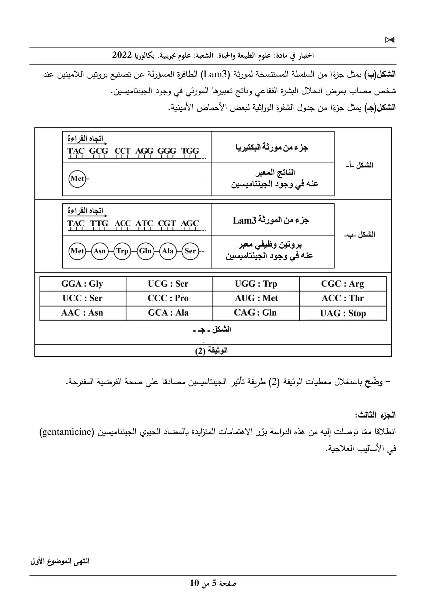 الصفحة 5 من 10