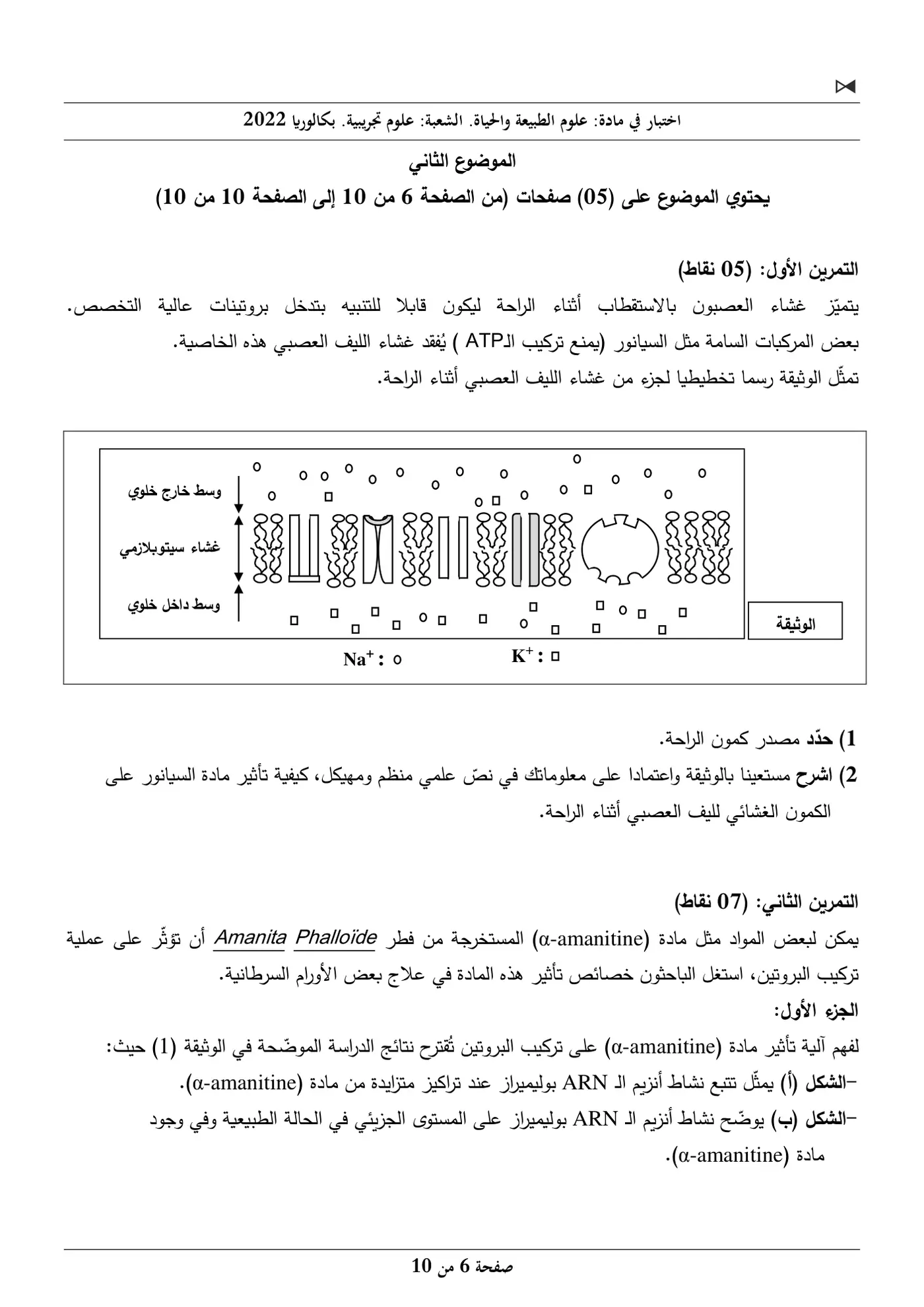 الصفحة 6 من 10