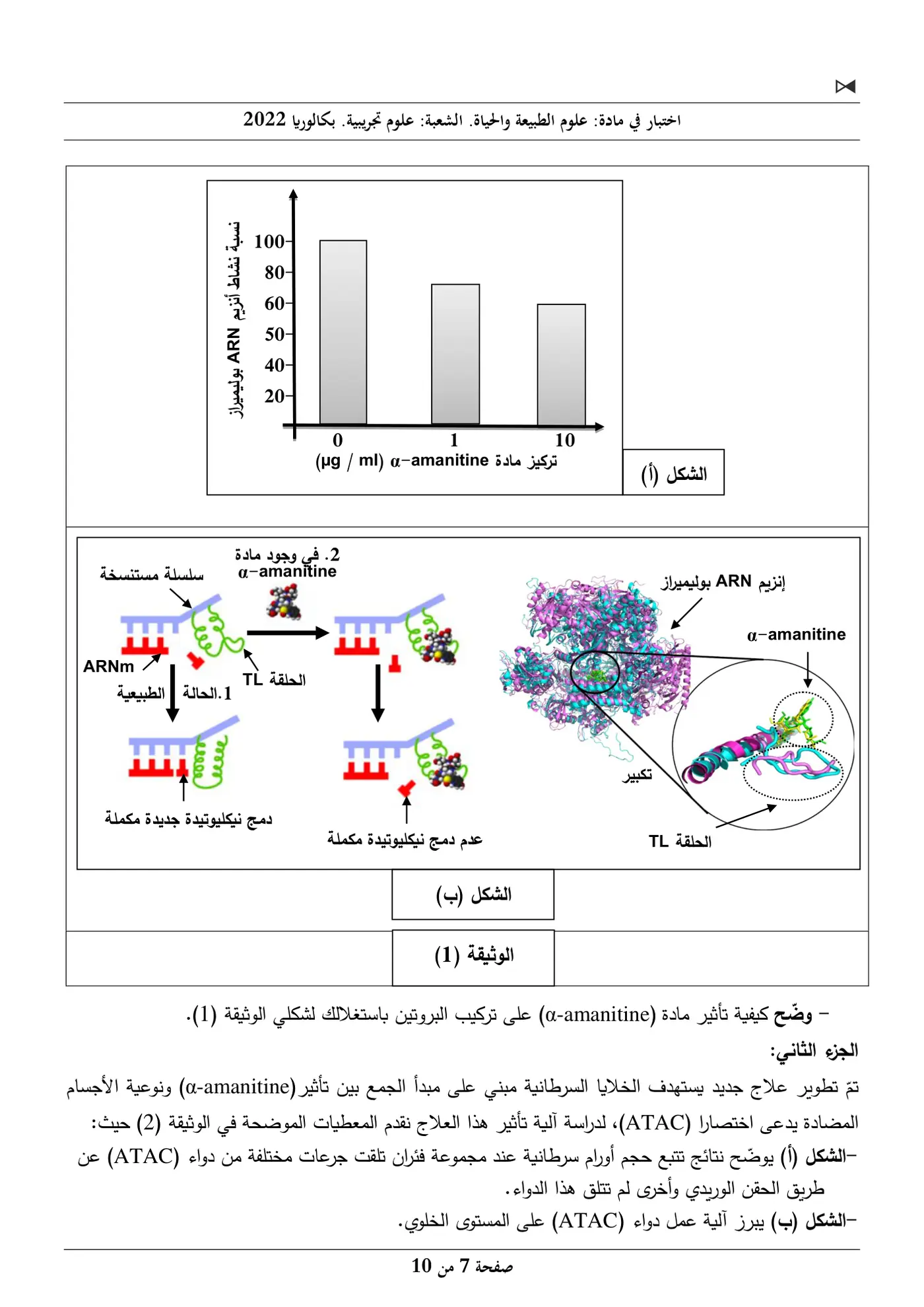 الصفحة 7 من 10