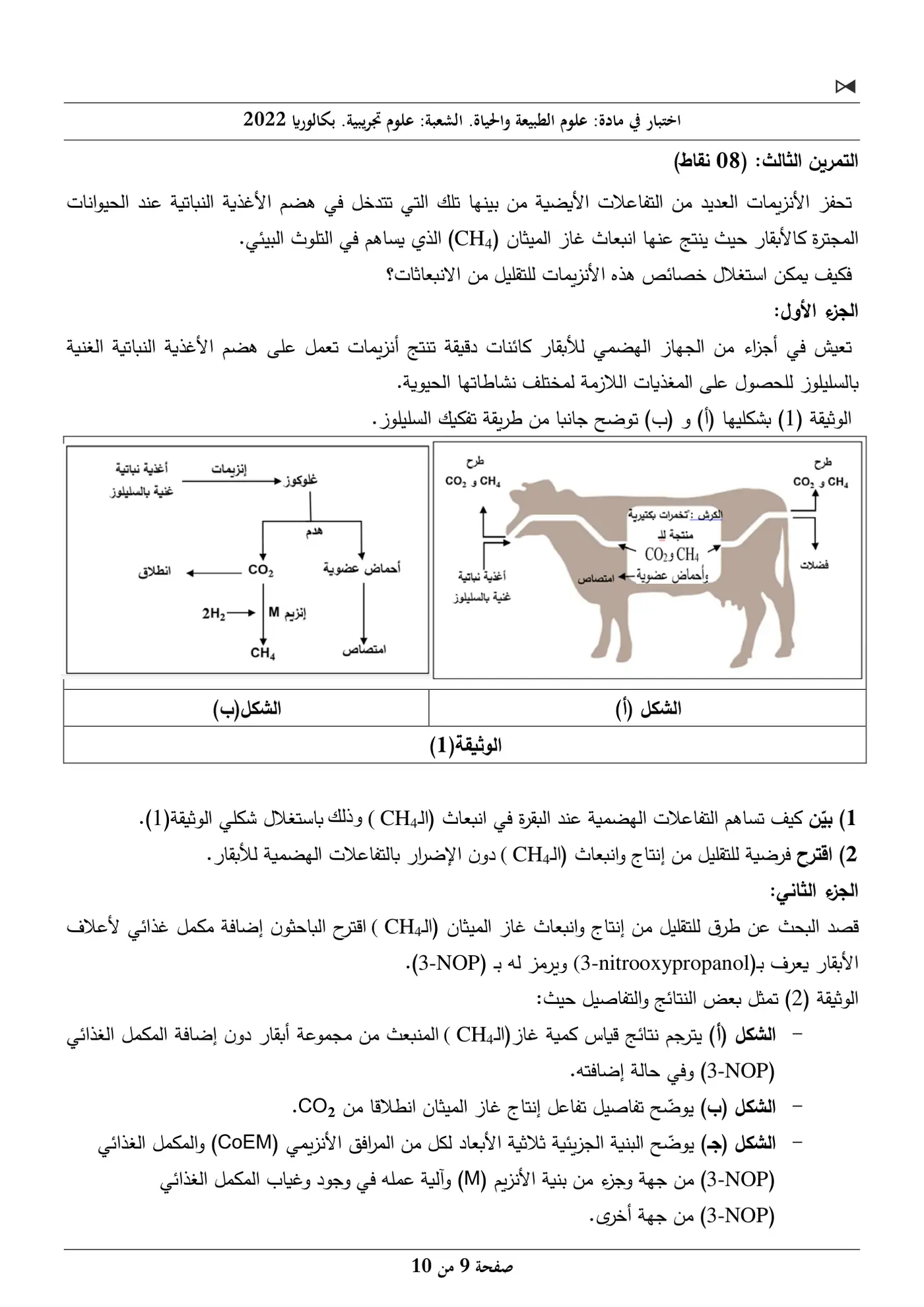 الصفحة 9 من 10