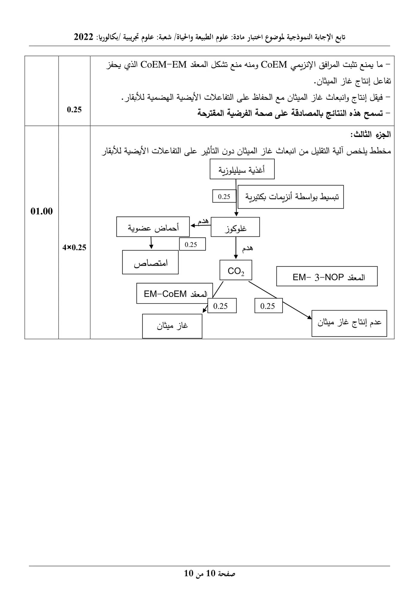الصفحة 10 من 10
