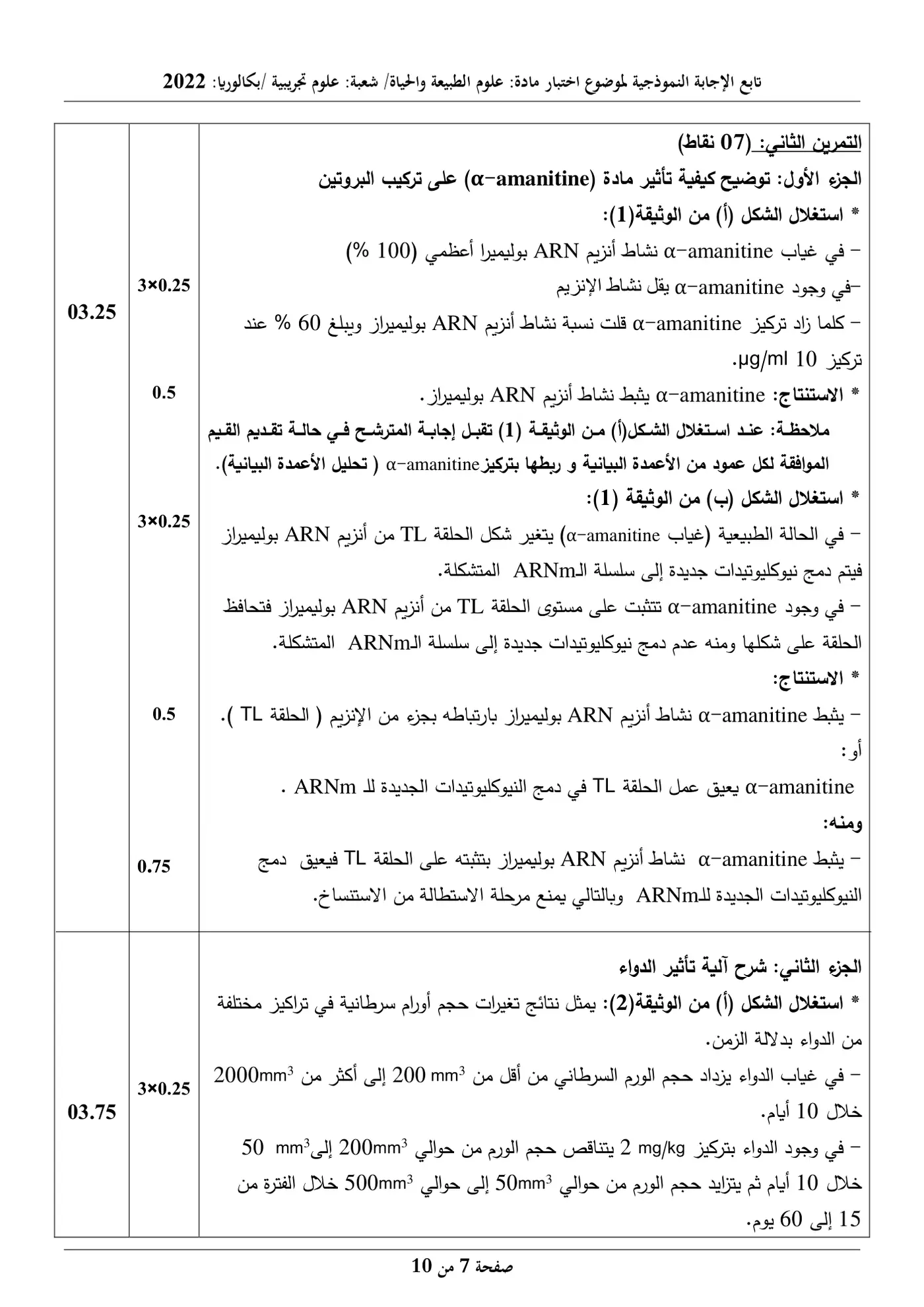 الصفحة 7 من 10