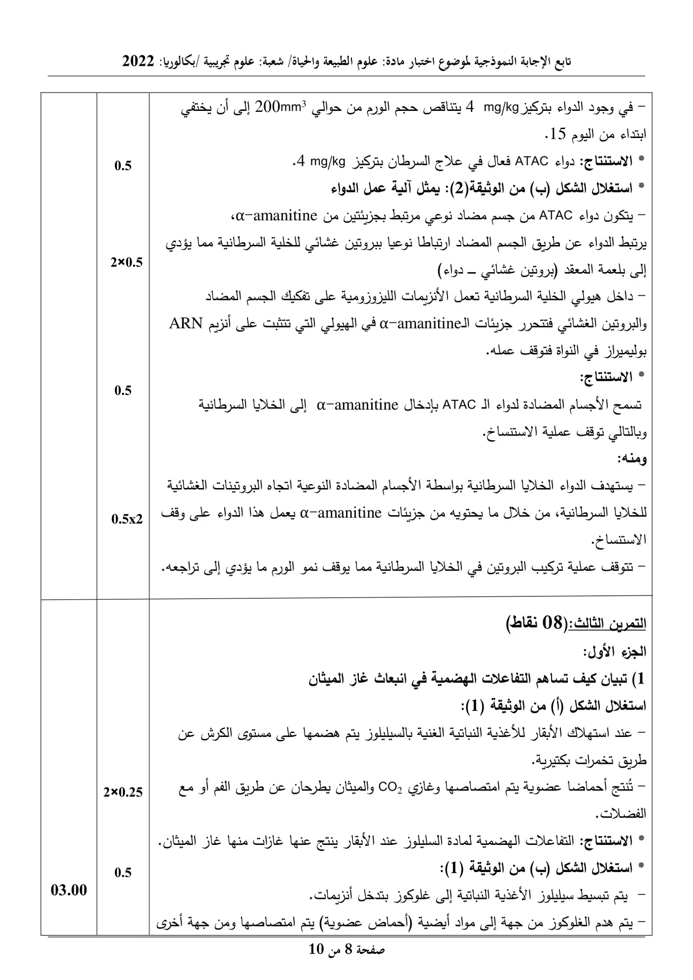 الصفحة 8 من 10