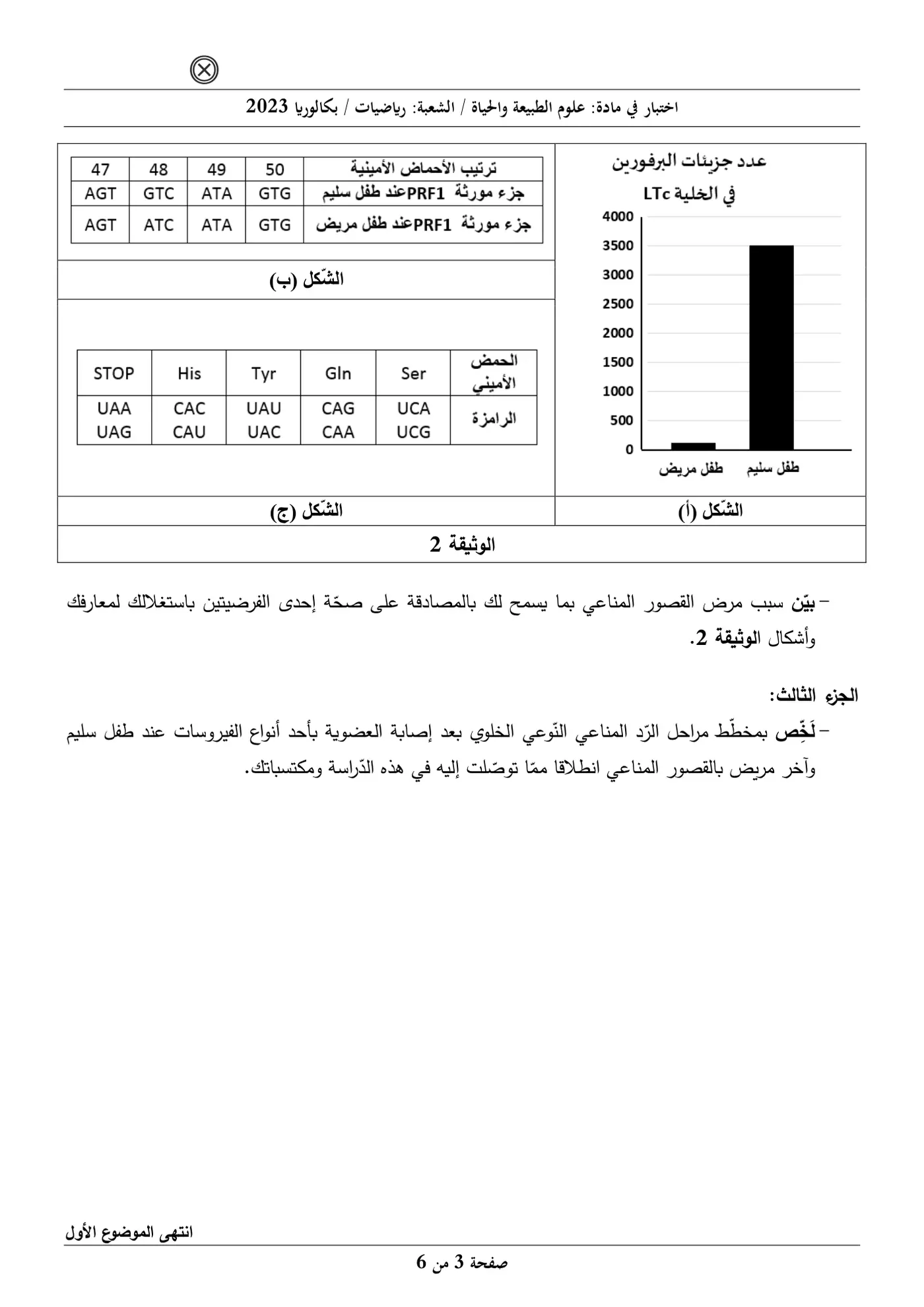 الصفحة 3 من 6