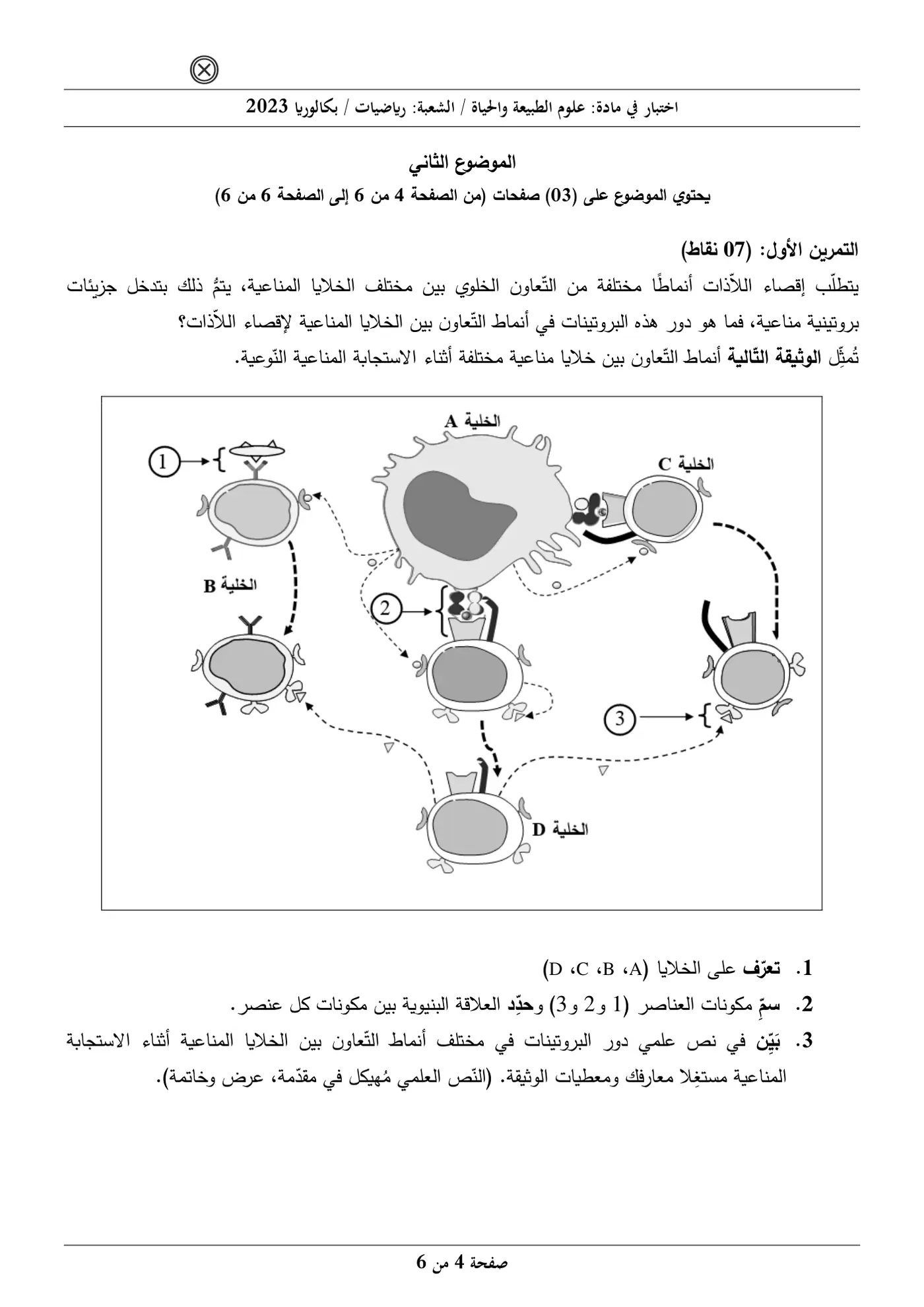 الصفحة 4 من 6