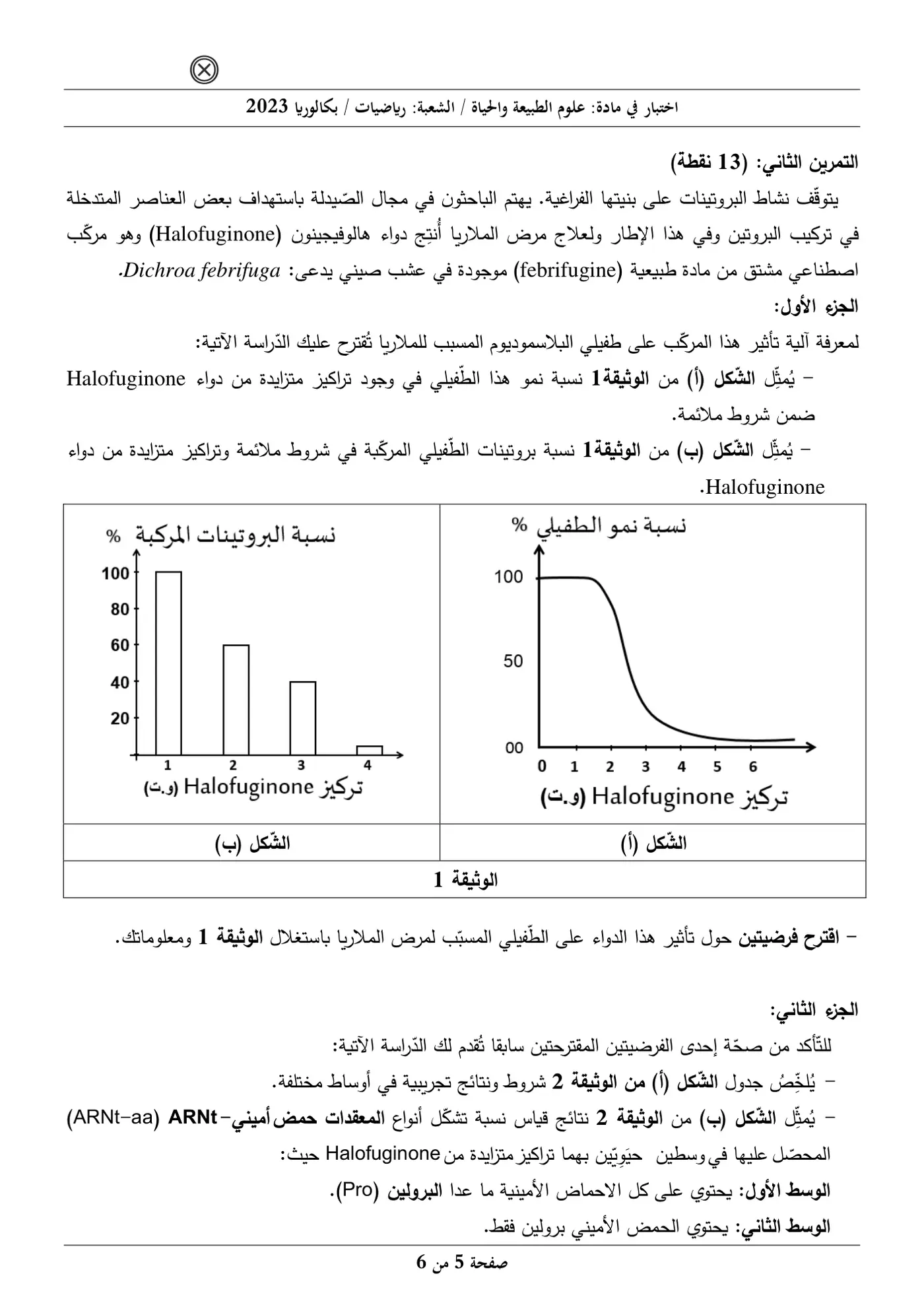 الصفحة 5 من 6