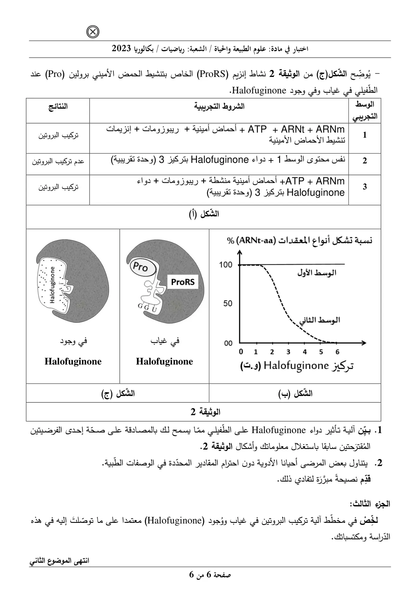 الصفحة 6 من 6