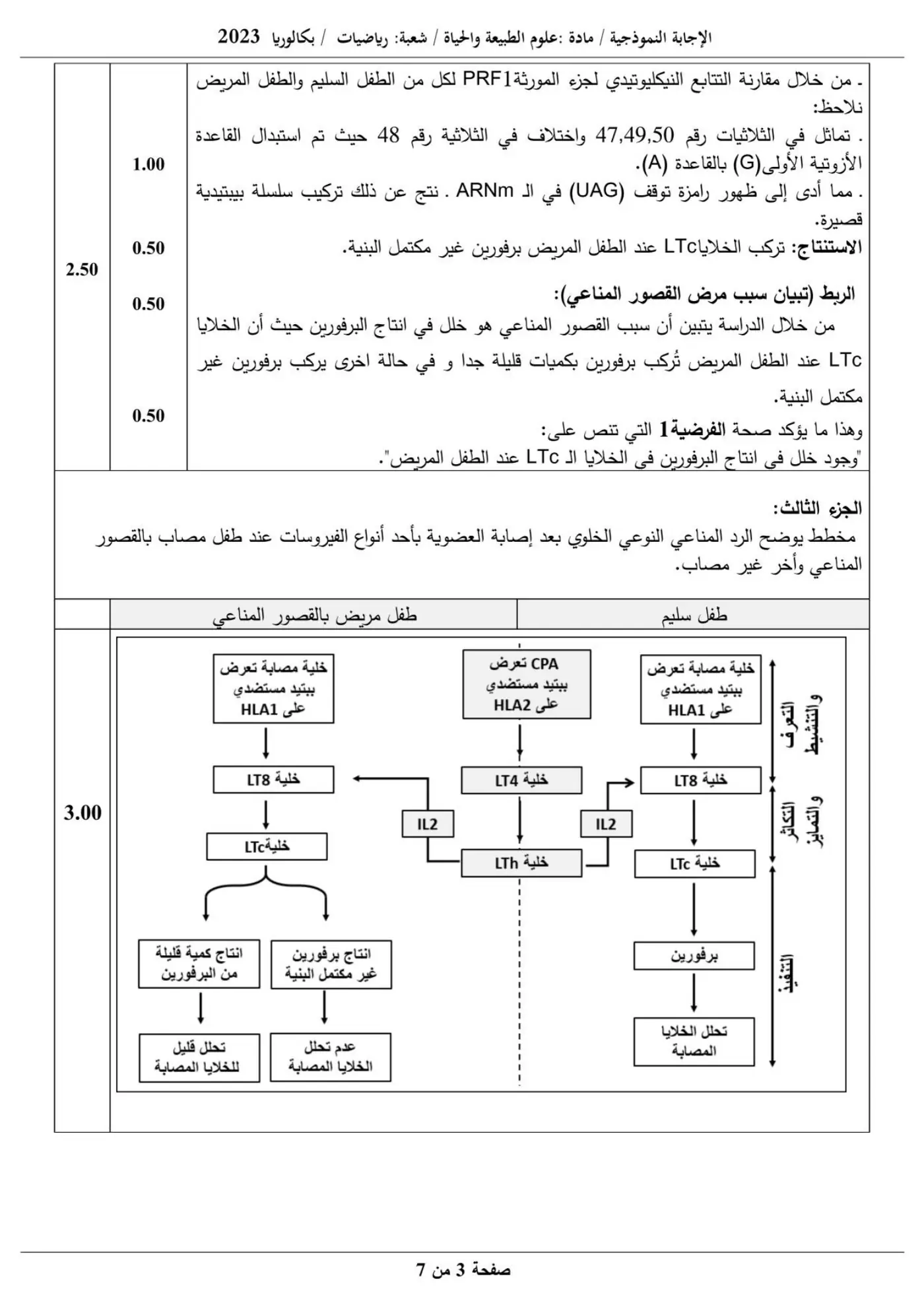 الصفحة 3 من 7