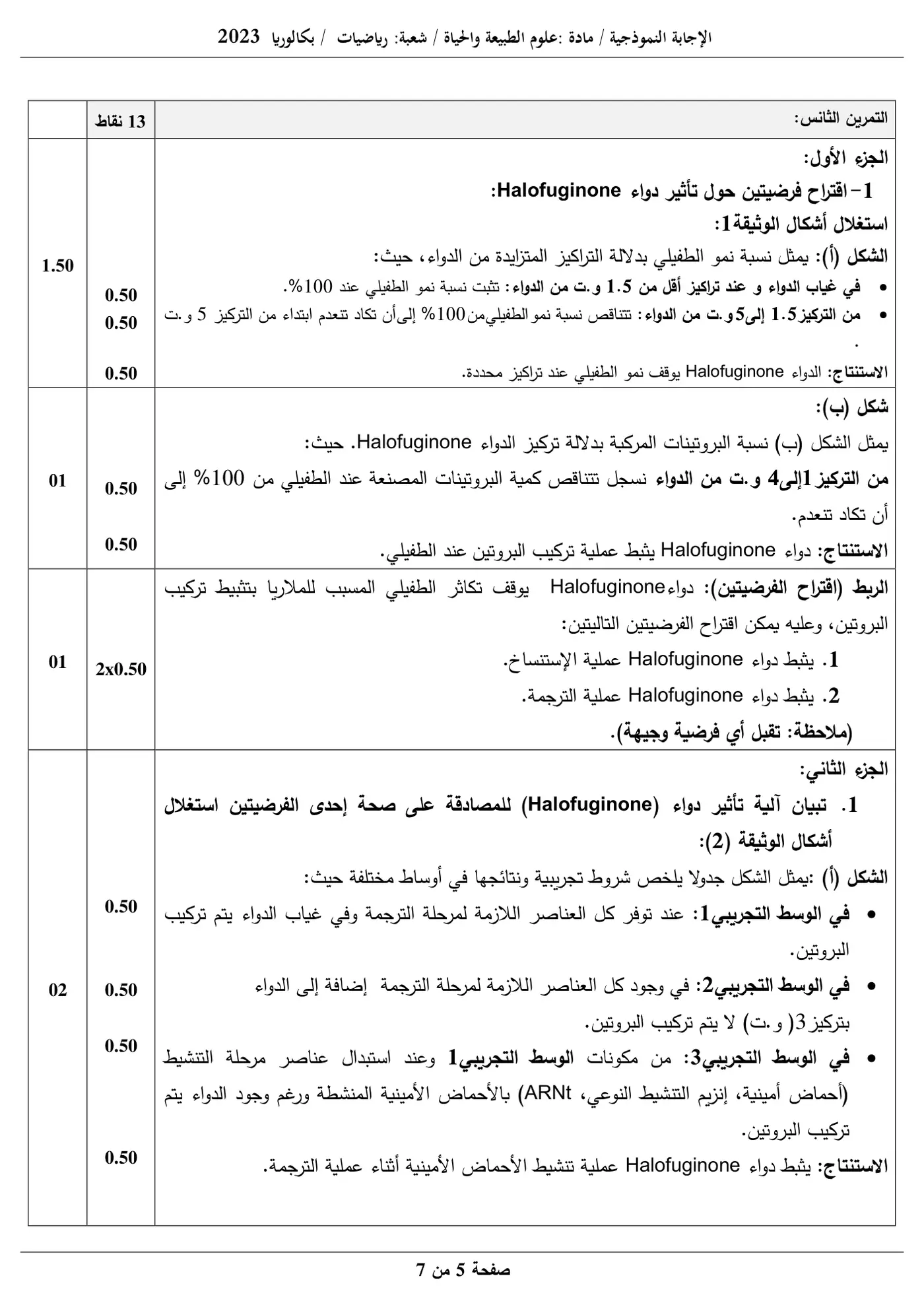 الصفحة 5 من 7