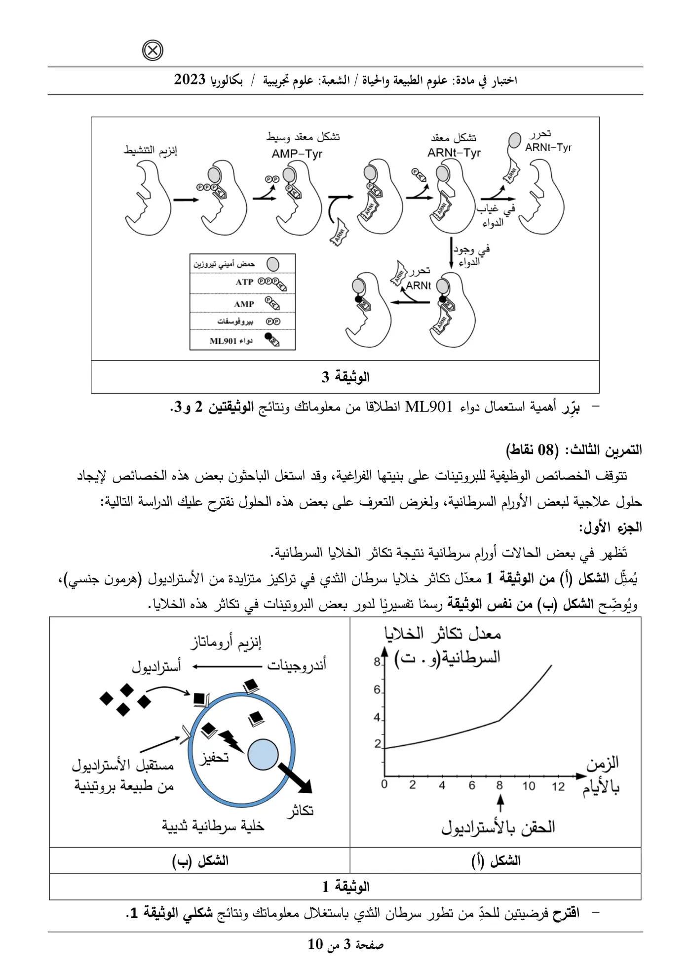الصفحة 3 من 10