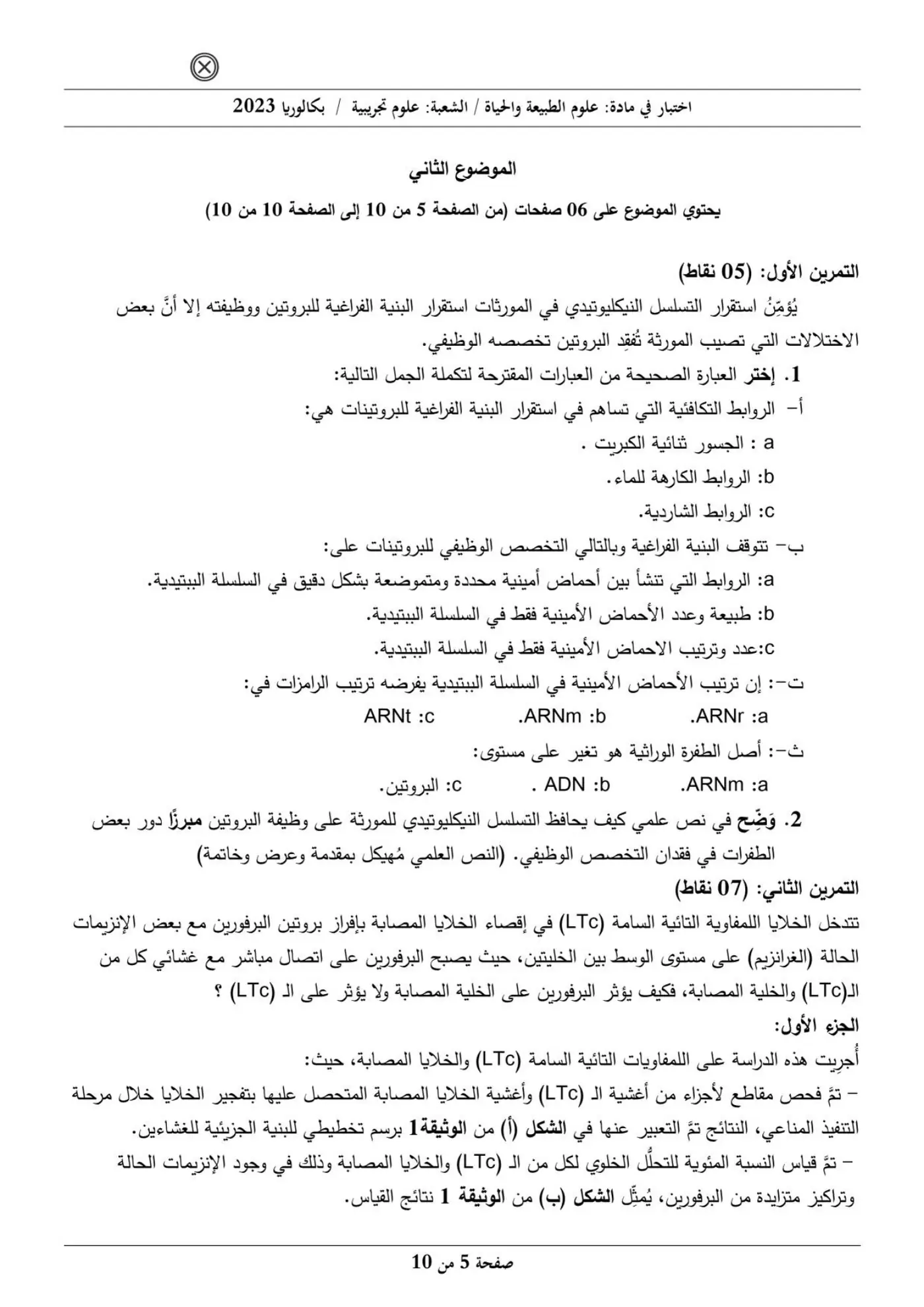 الصفحة 5 من 10