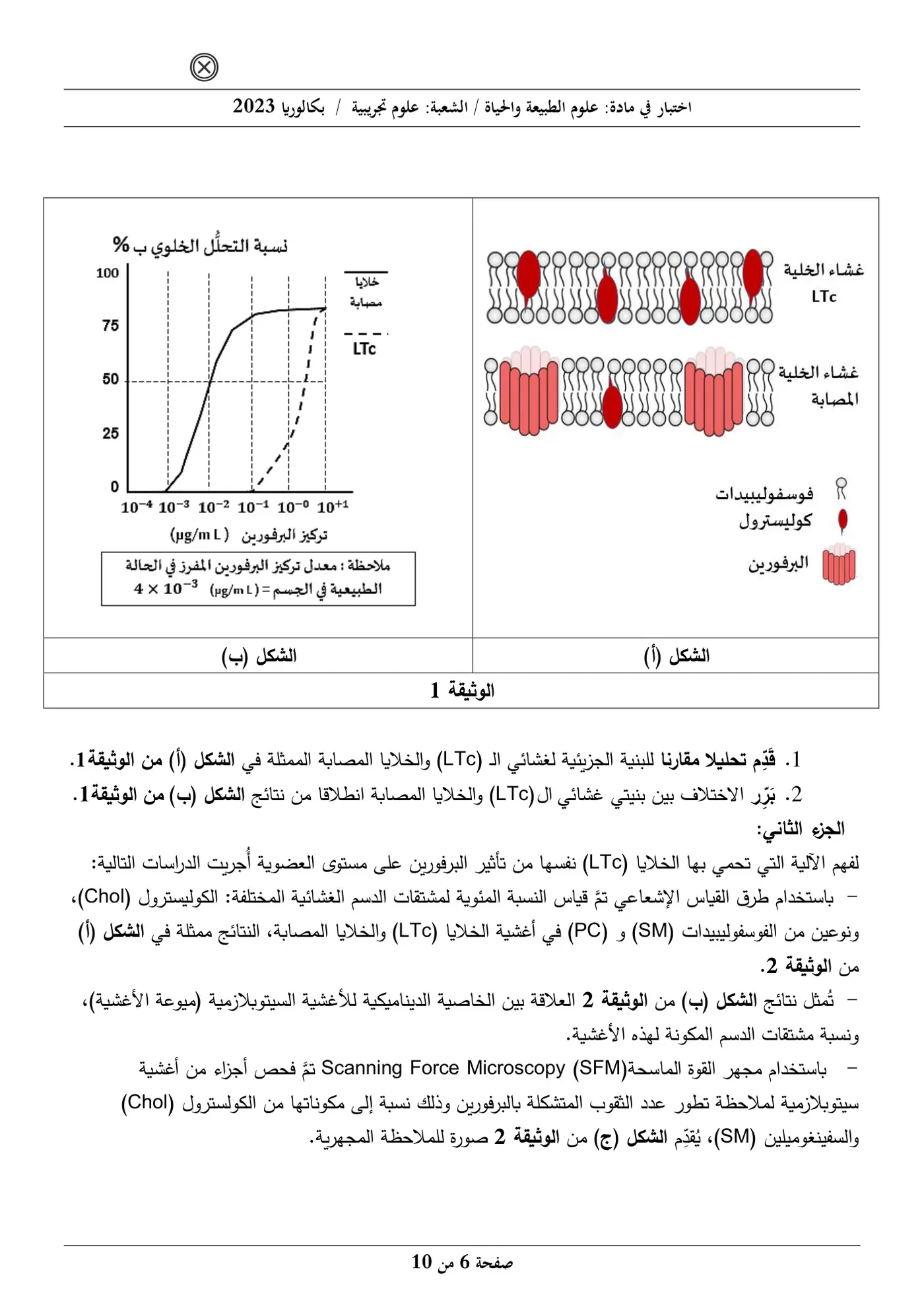 الصفحة 6 من 10