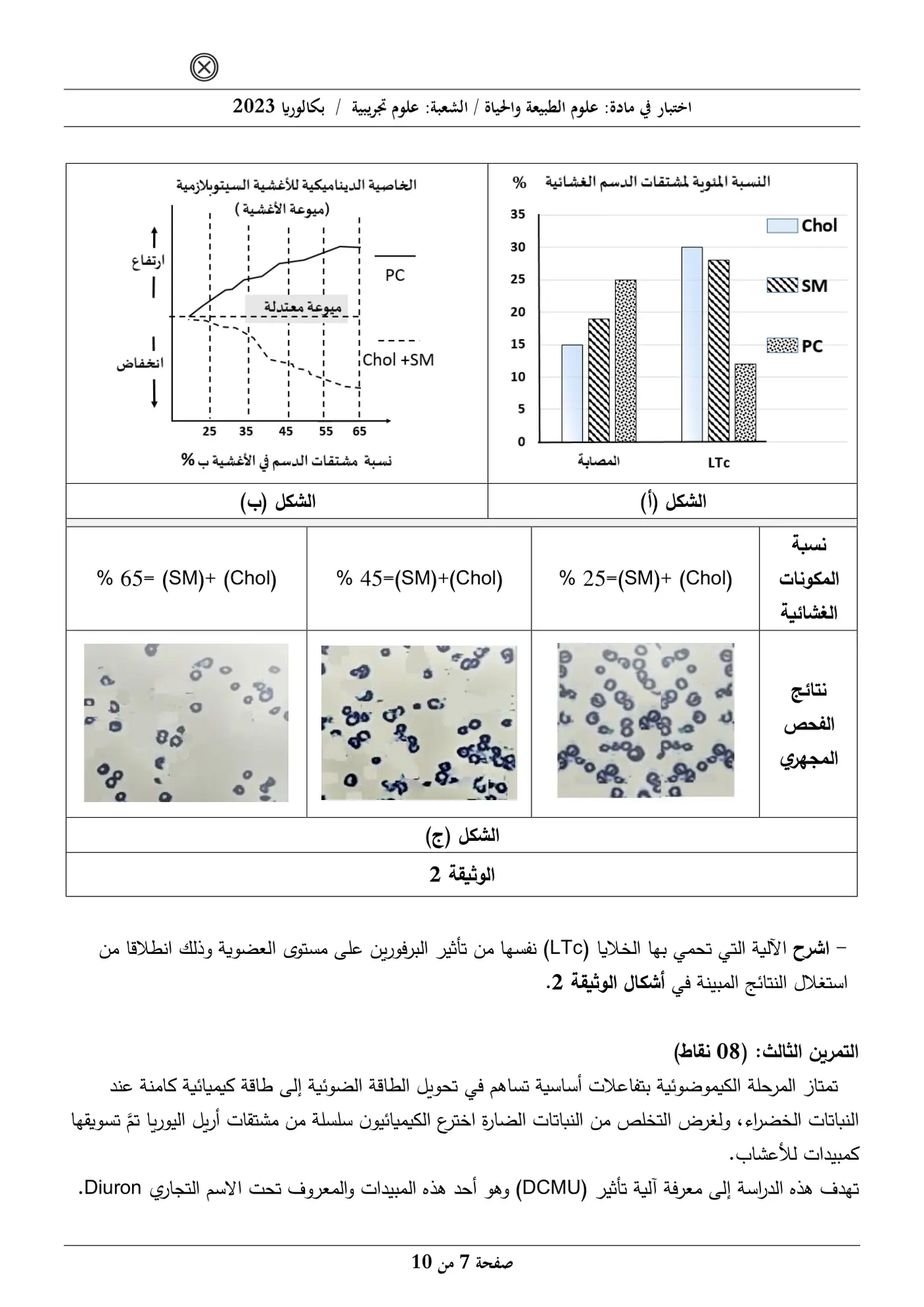 الصفحة 7 من 10