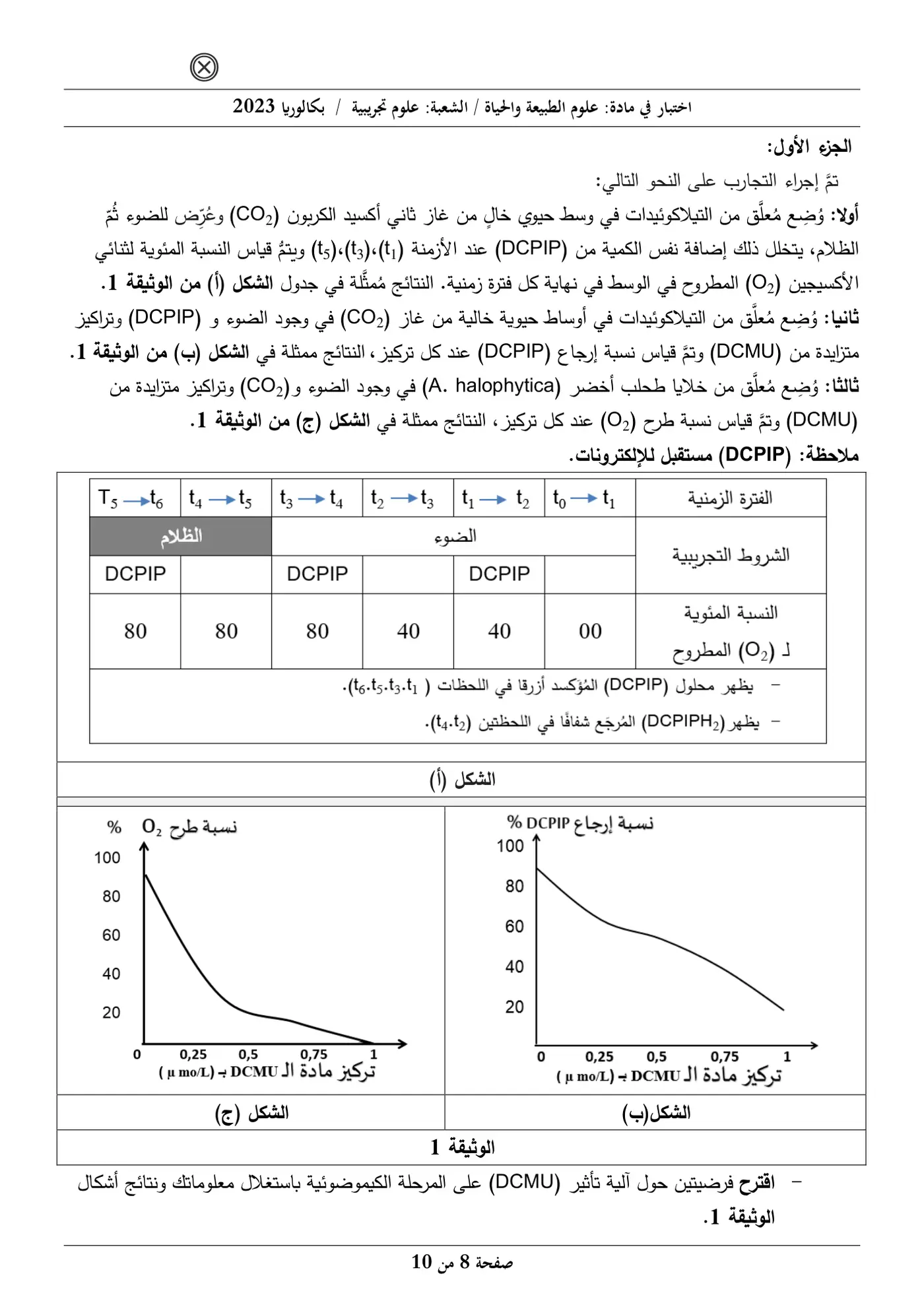 الصفحة 8 من 10