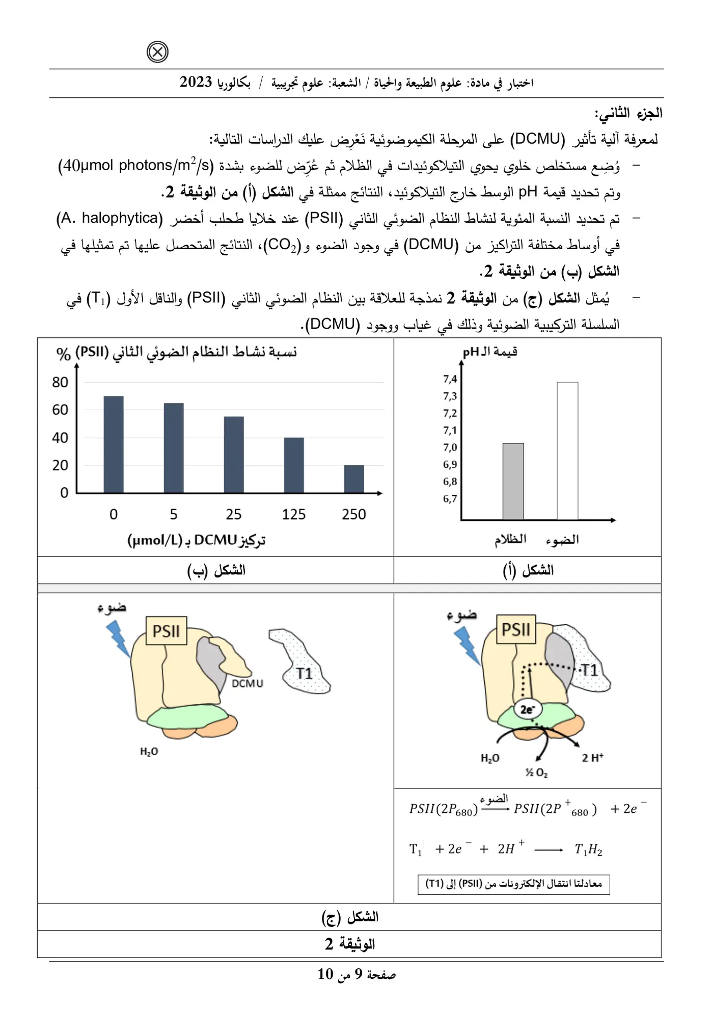 الصفحة 9 من 10