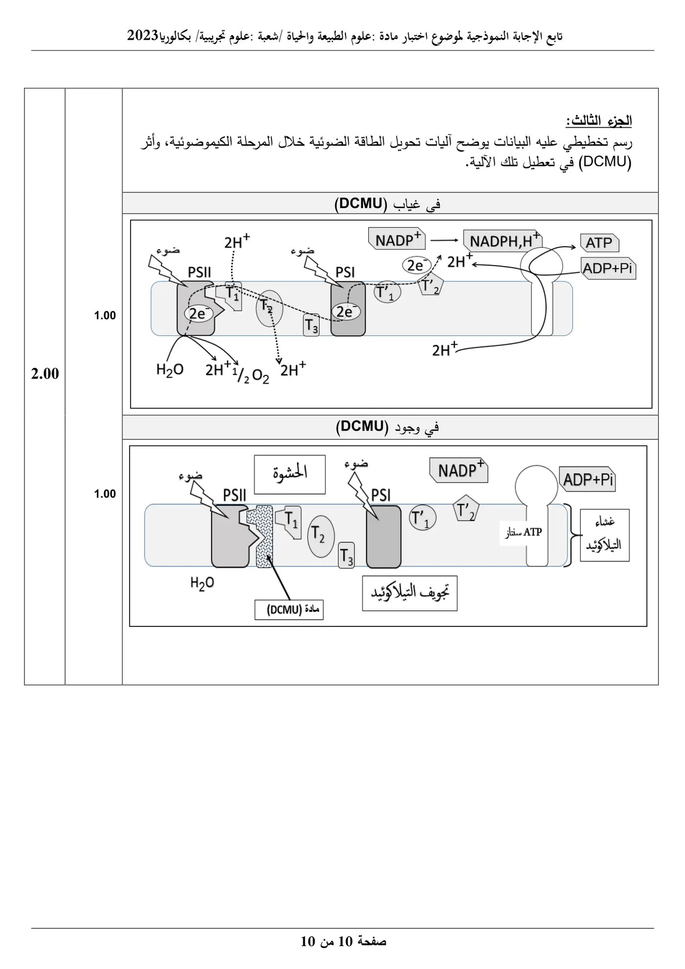 الصفحة 10 من 10