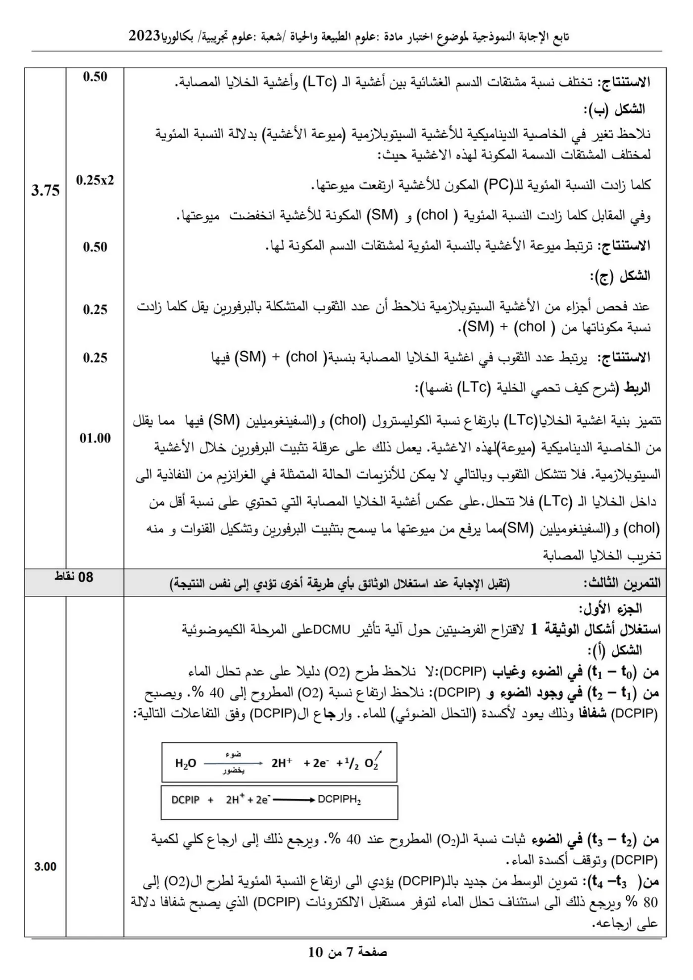 الصفحة 7 من 10