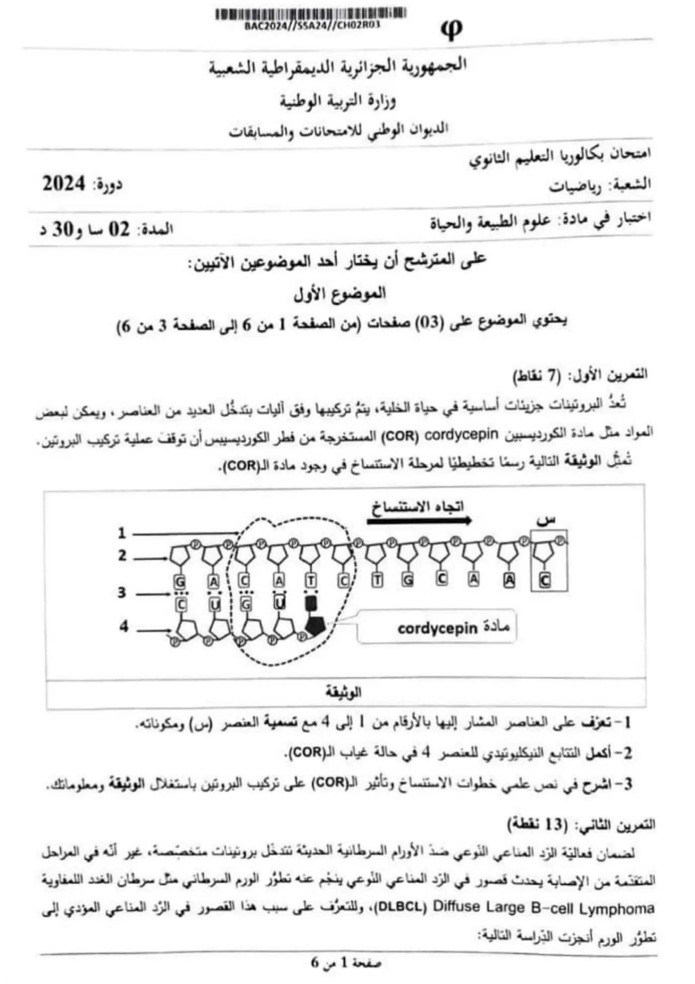 الصفحة 1 من 6