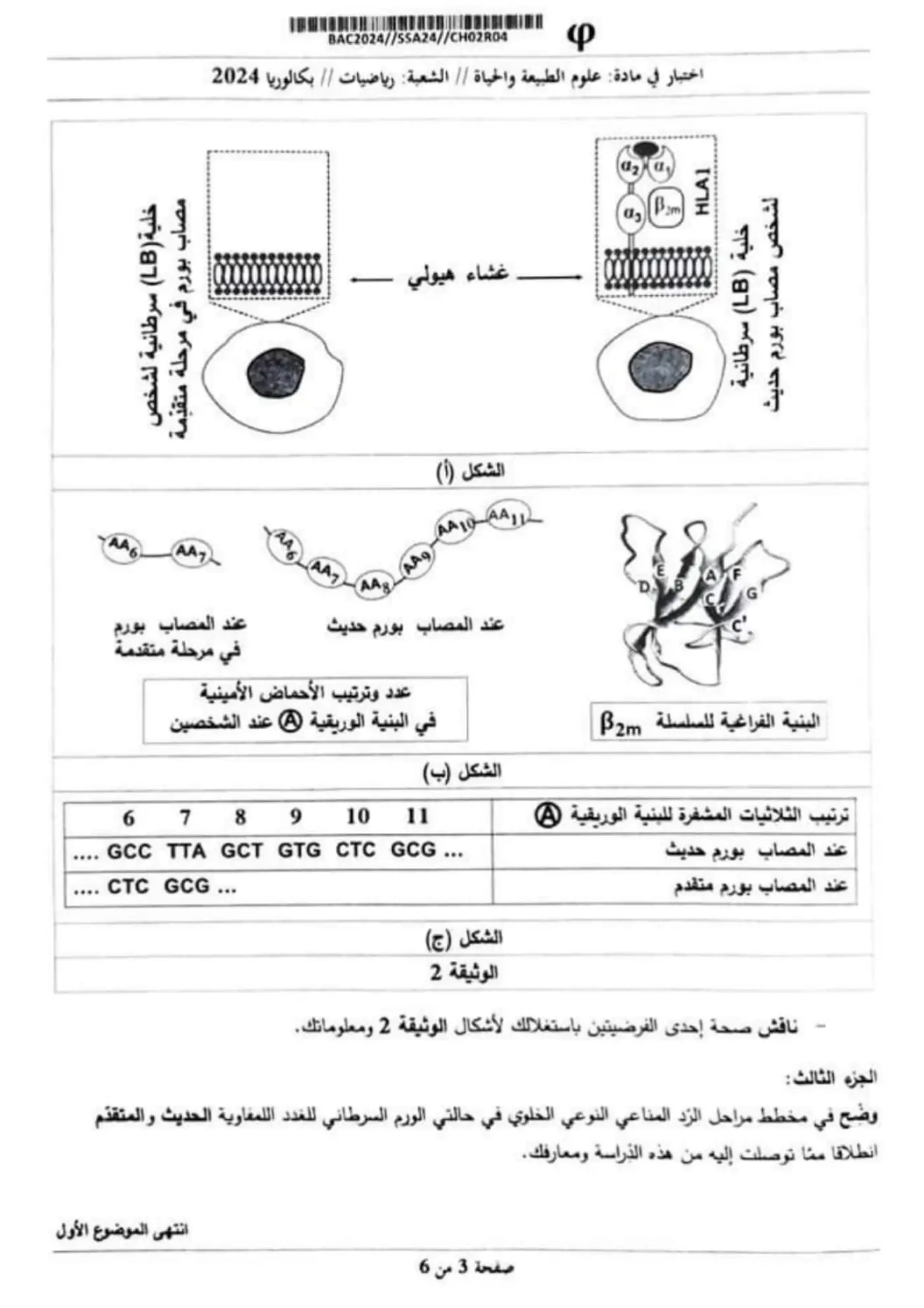 الصفحة 3 من 6