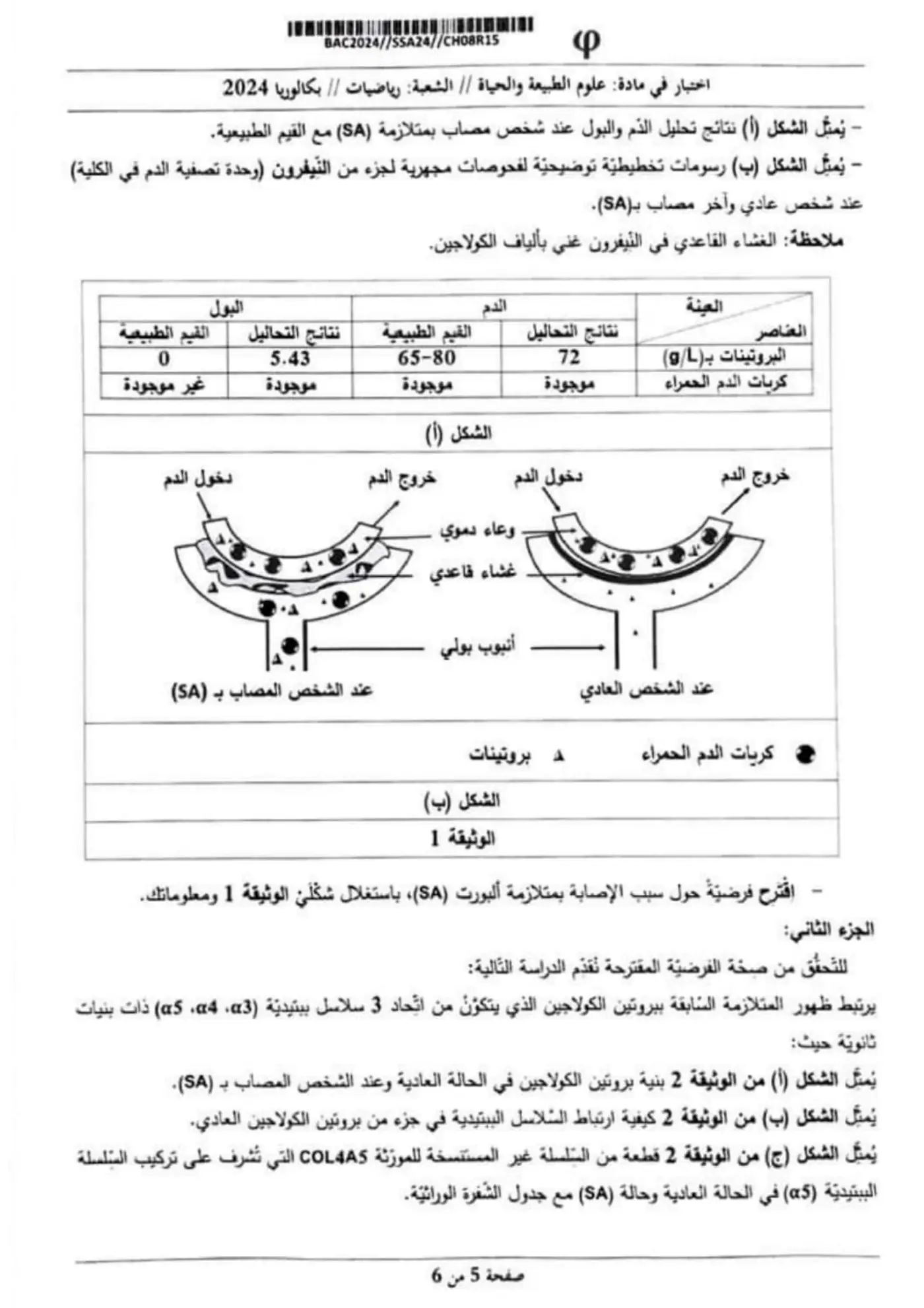 الصفحة 5 من 6