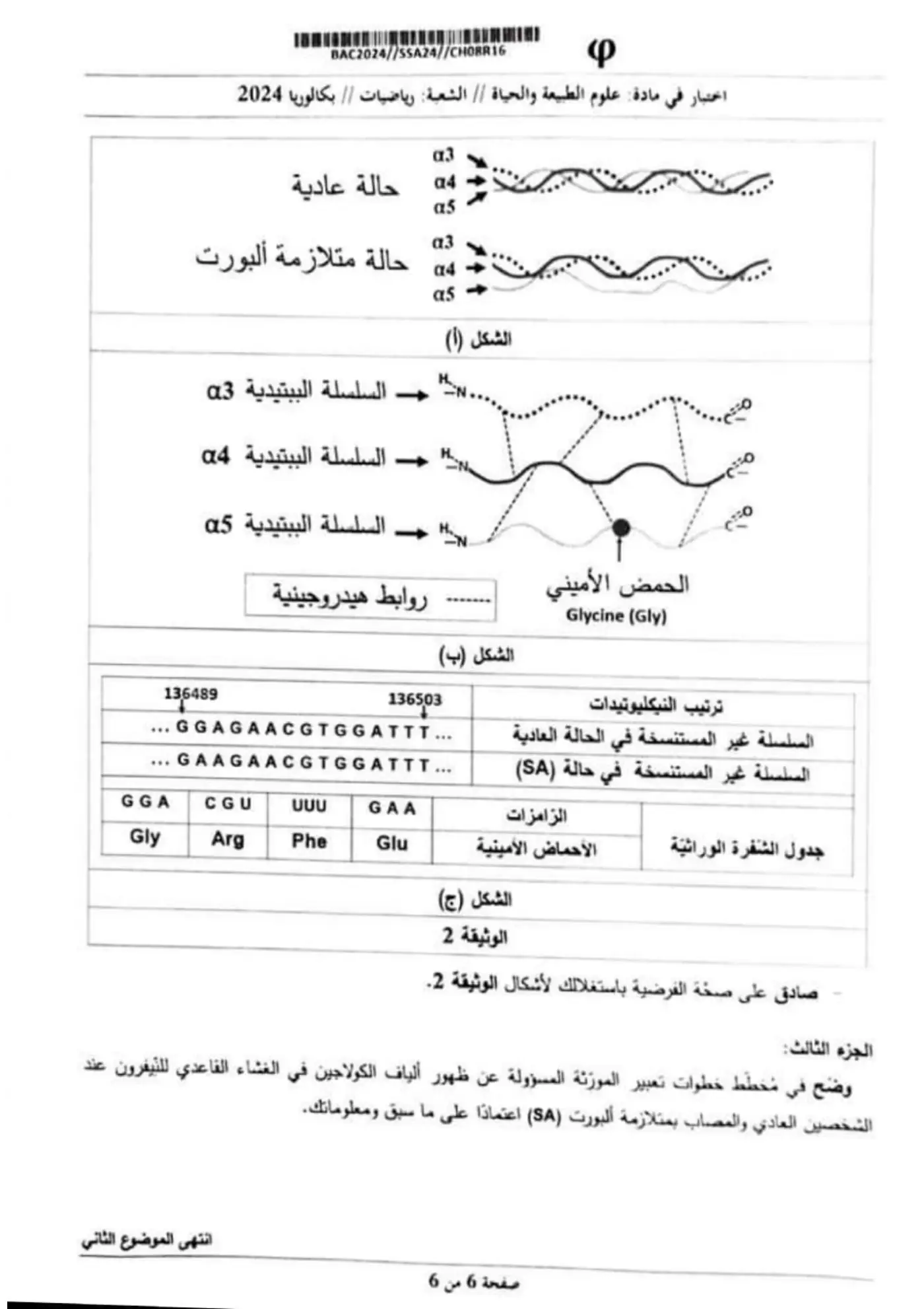 الصفحة 6 من 6