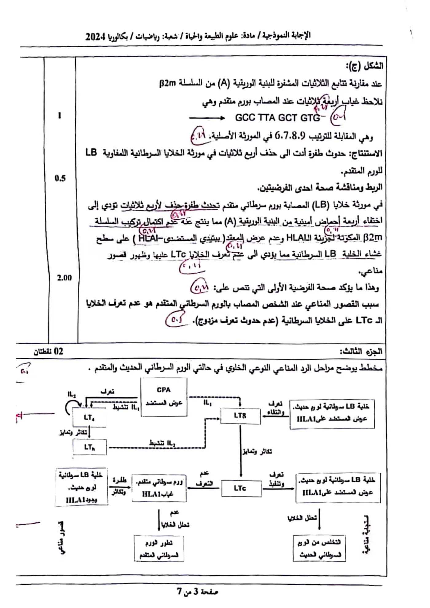 الصفحة 3 من 7