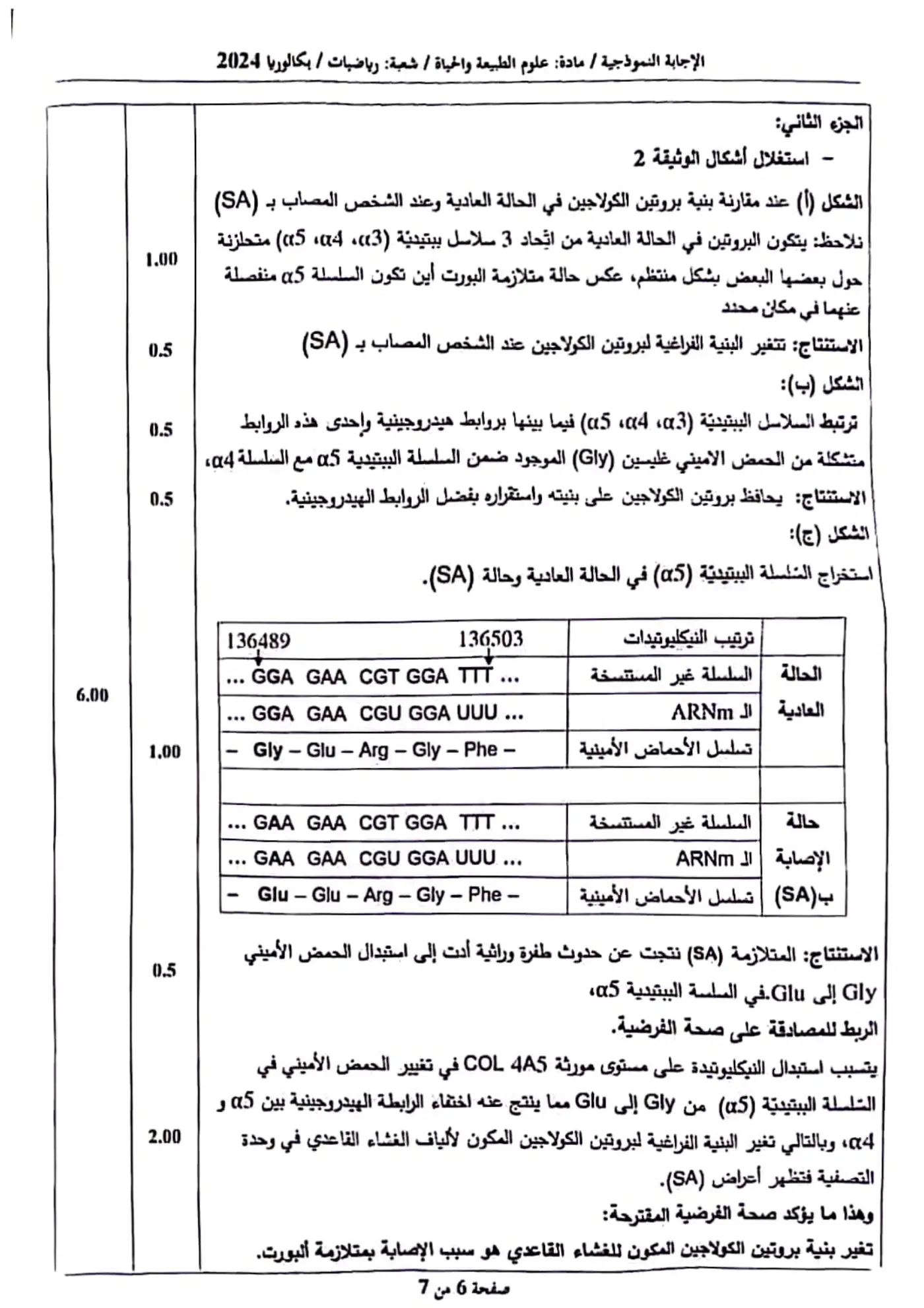 الصفحة 6 من 7