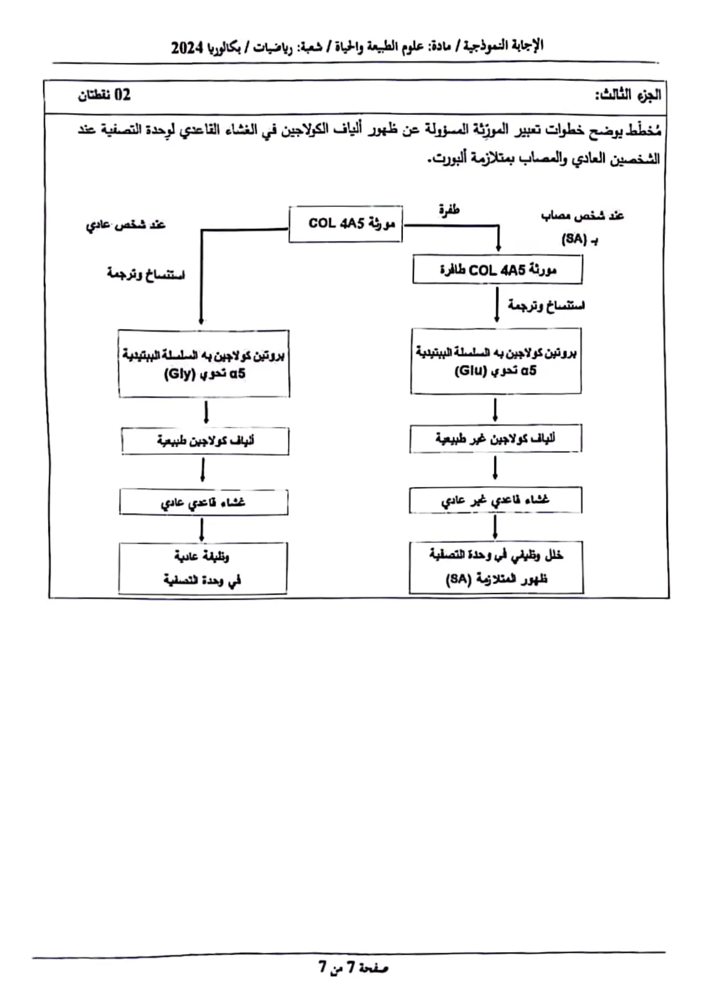 الصفحة 7 من 7