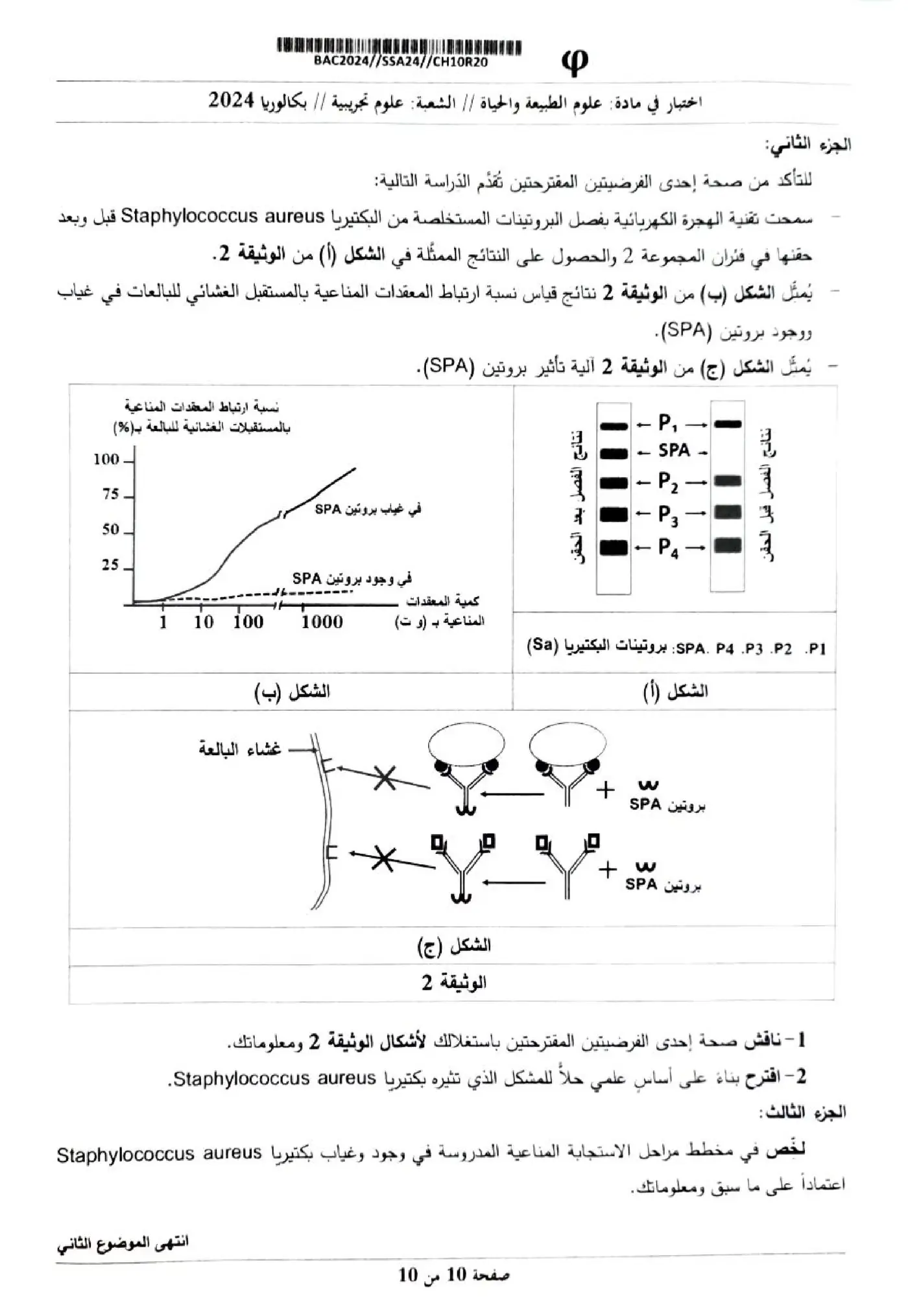 الصفحة 10 من 10