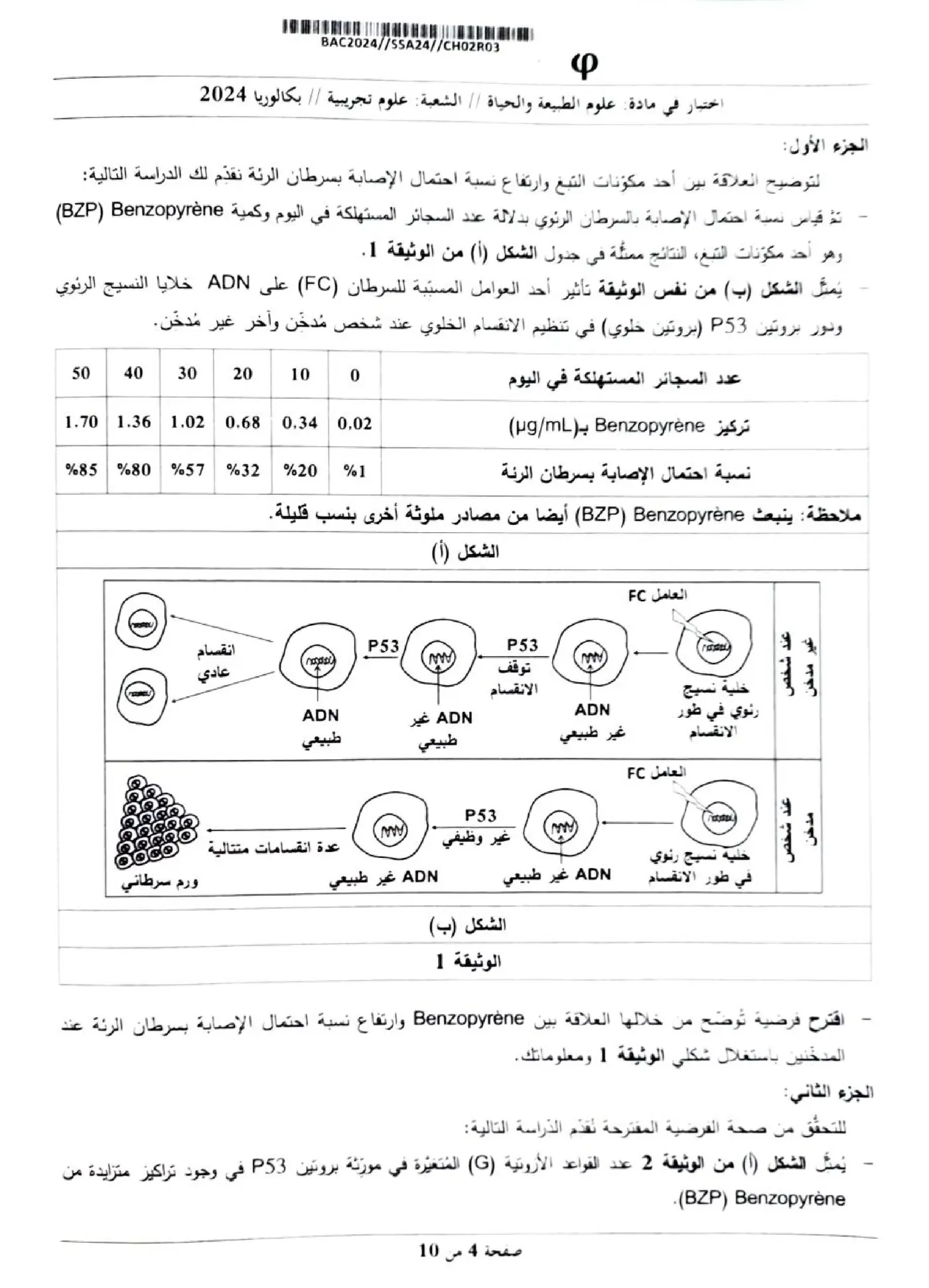 الصفحة 4 من 10