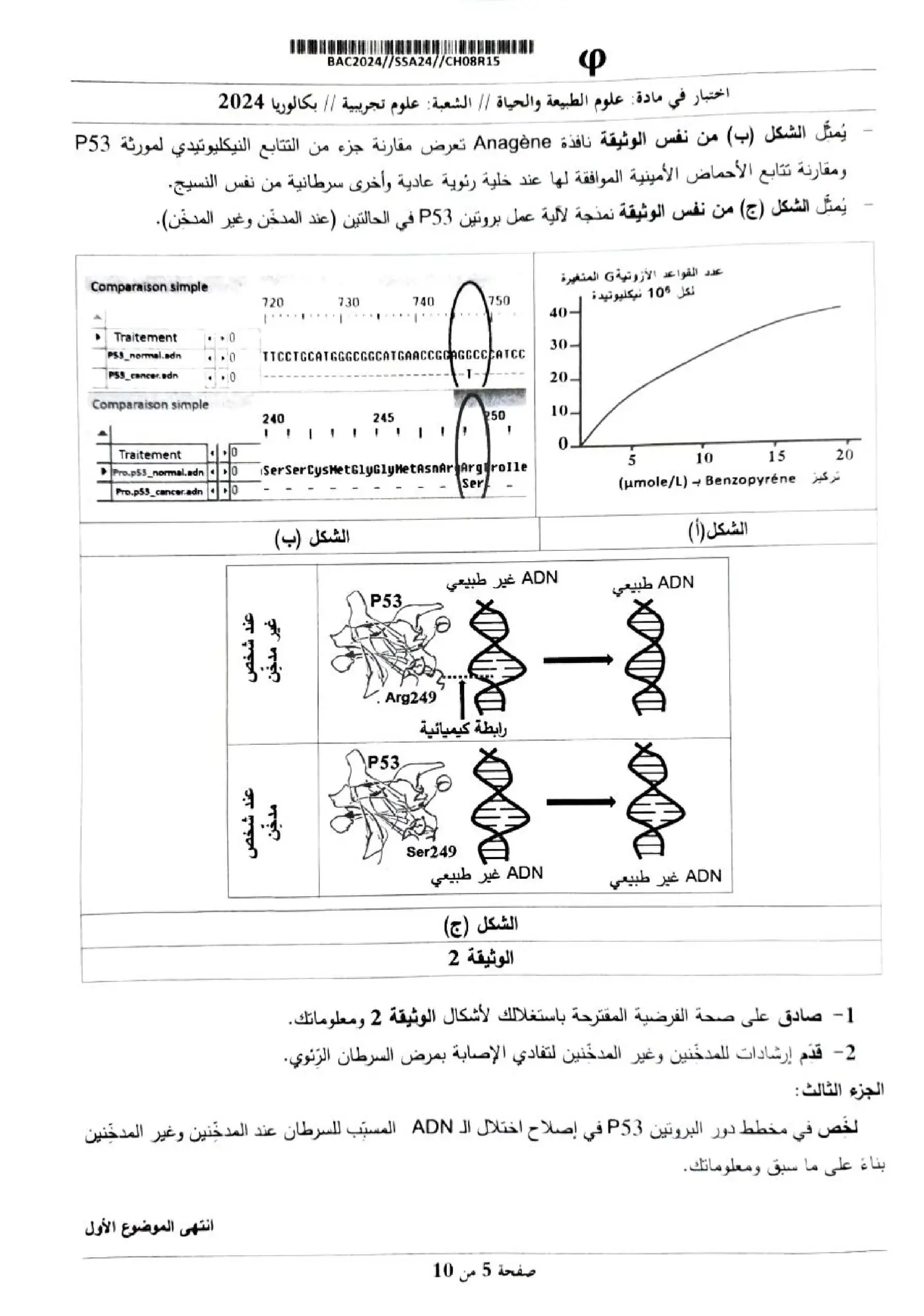 الصفحة 5 من 10