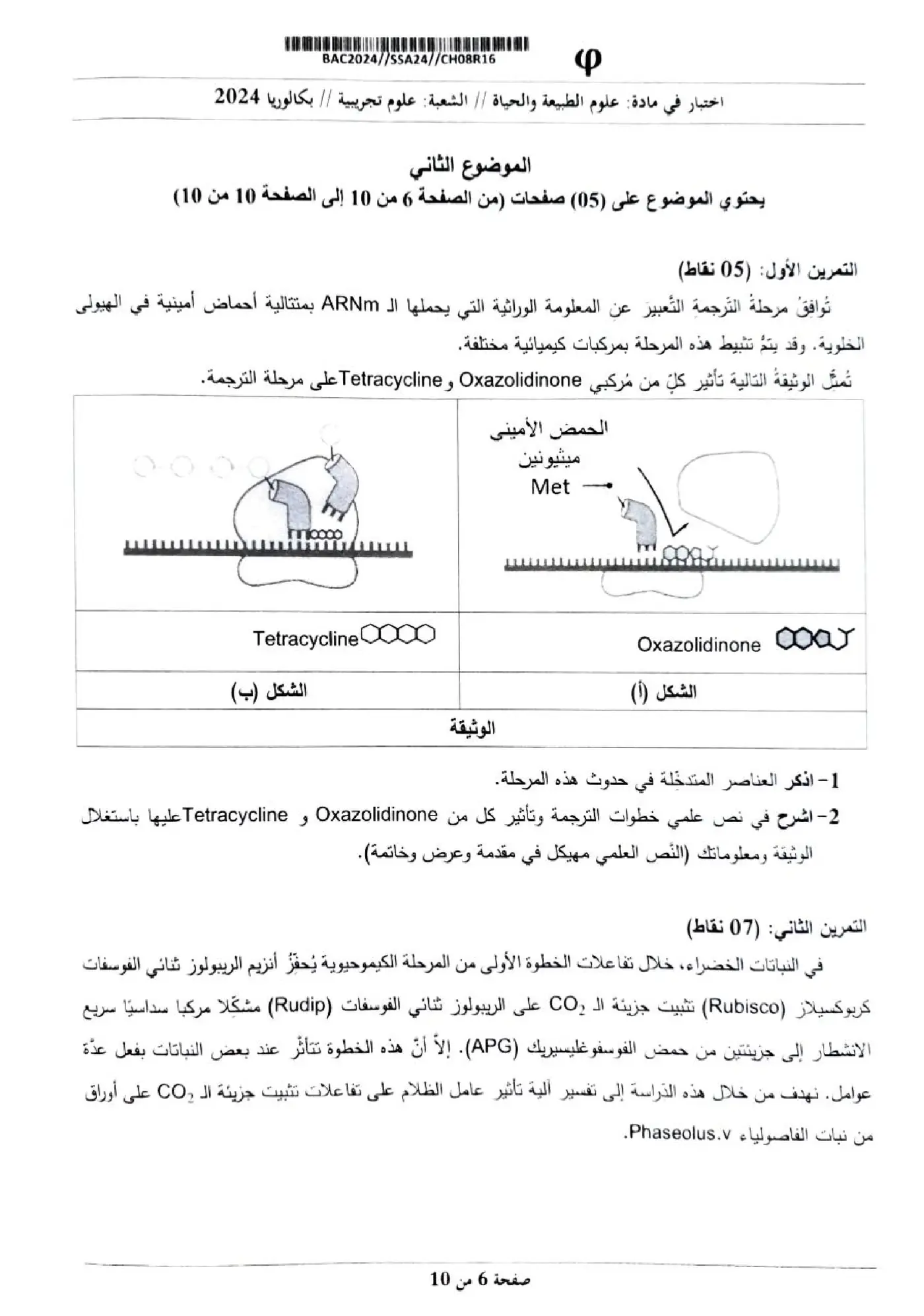 الصفحة 6 من 10