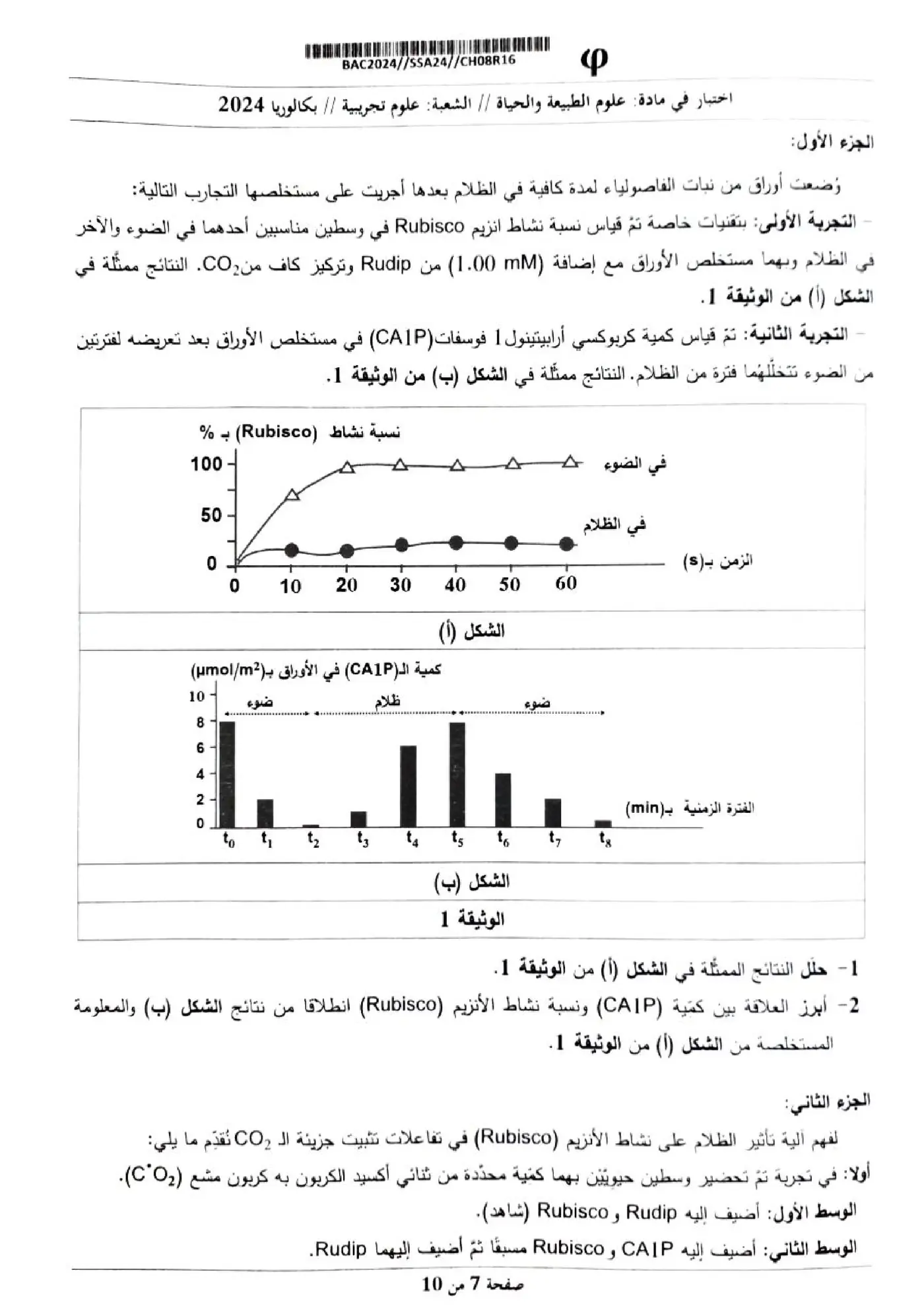الصفحة 7 من 10