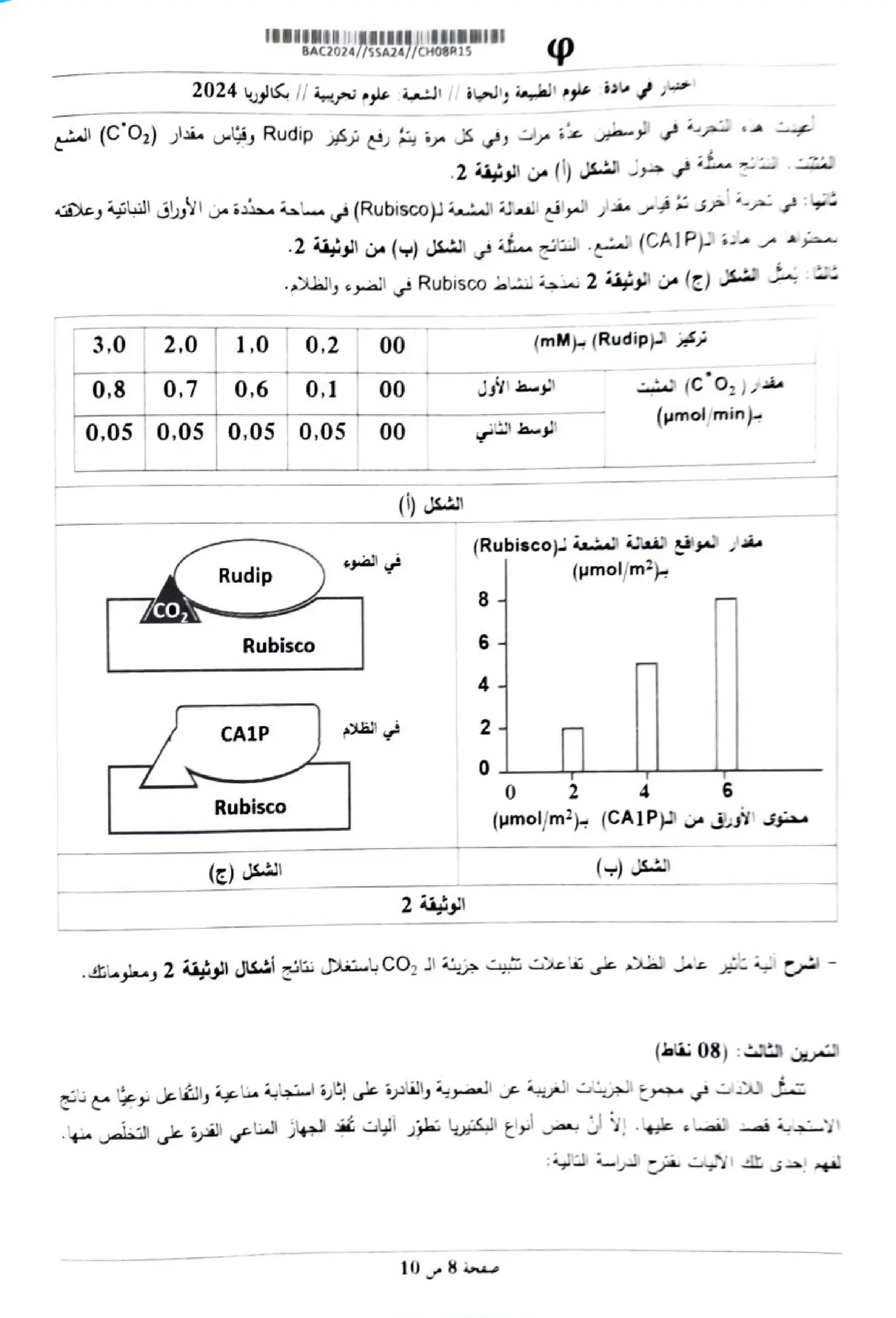 الصفحة 8 من 10