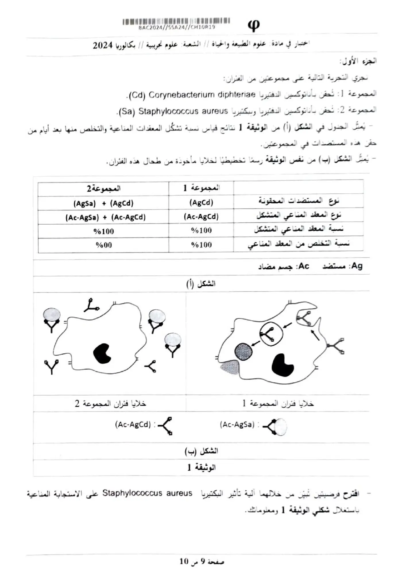 الصفحة 9 من 10