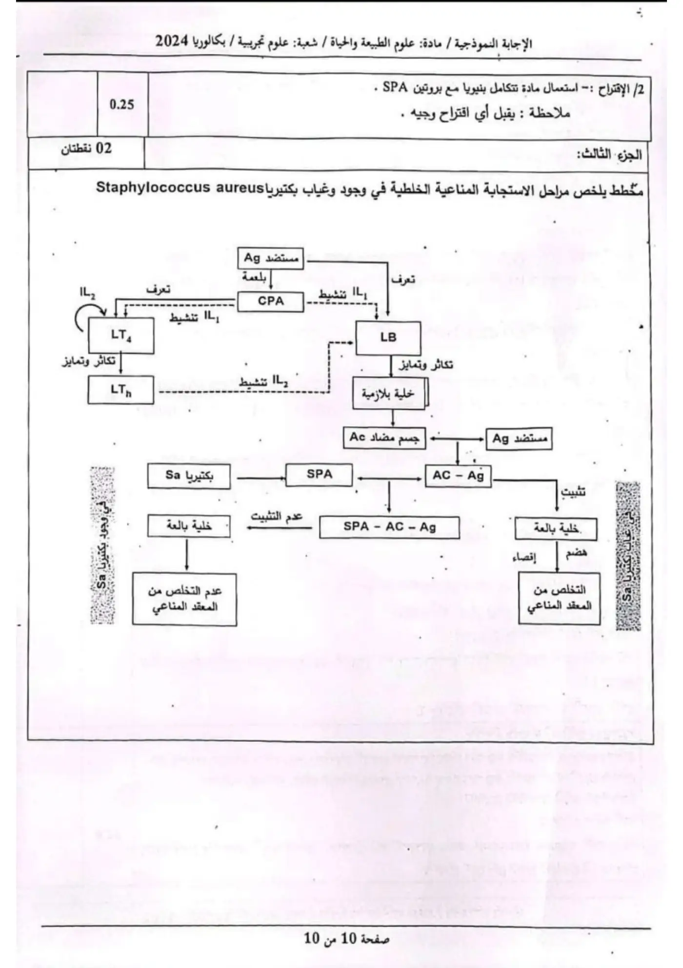 الصفحة 10 من 10