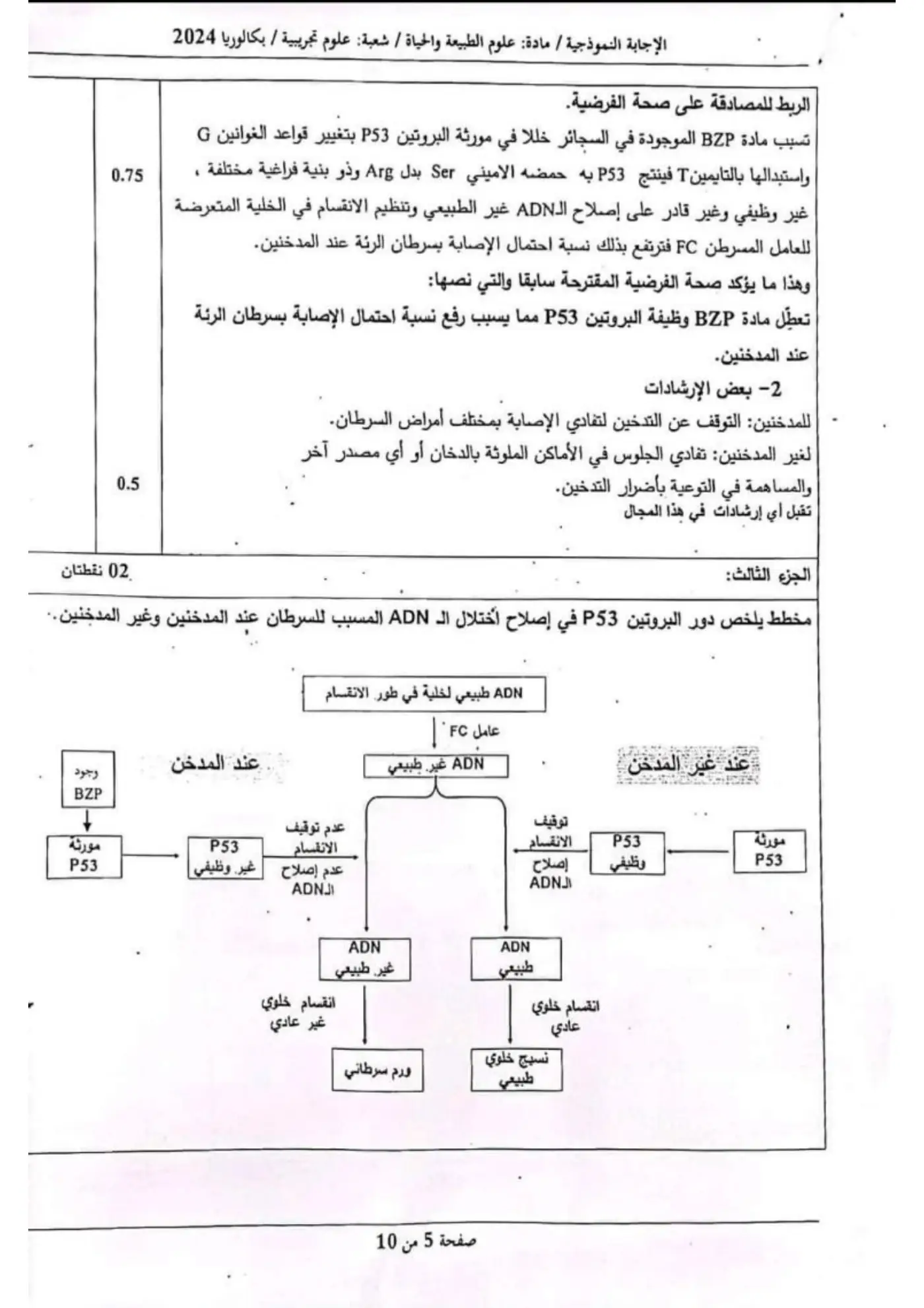الصفحة 5 من 10