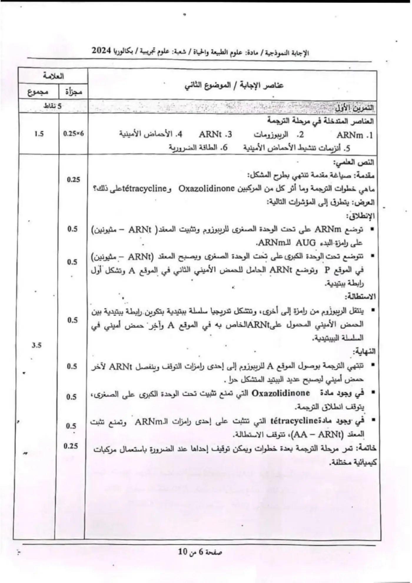 الصفحة 6 من 10