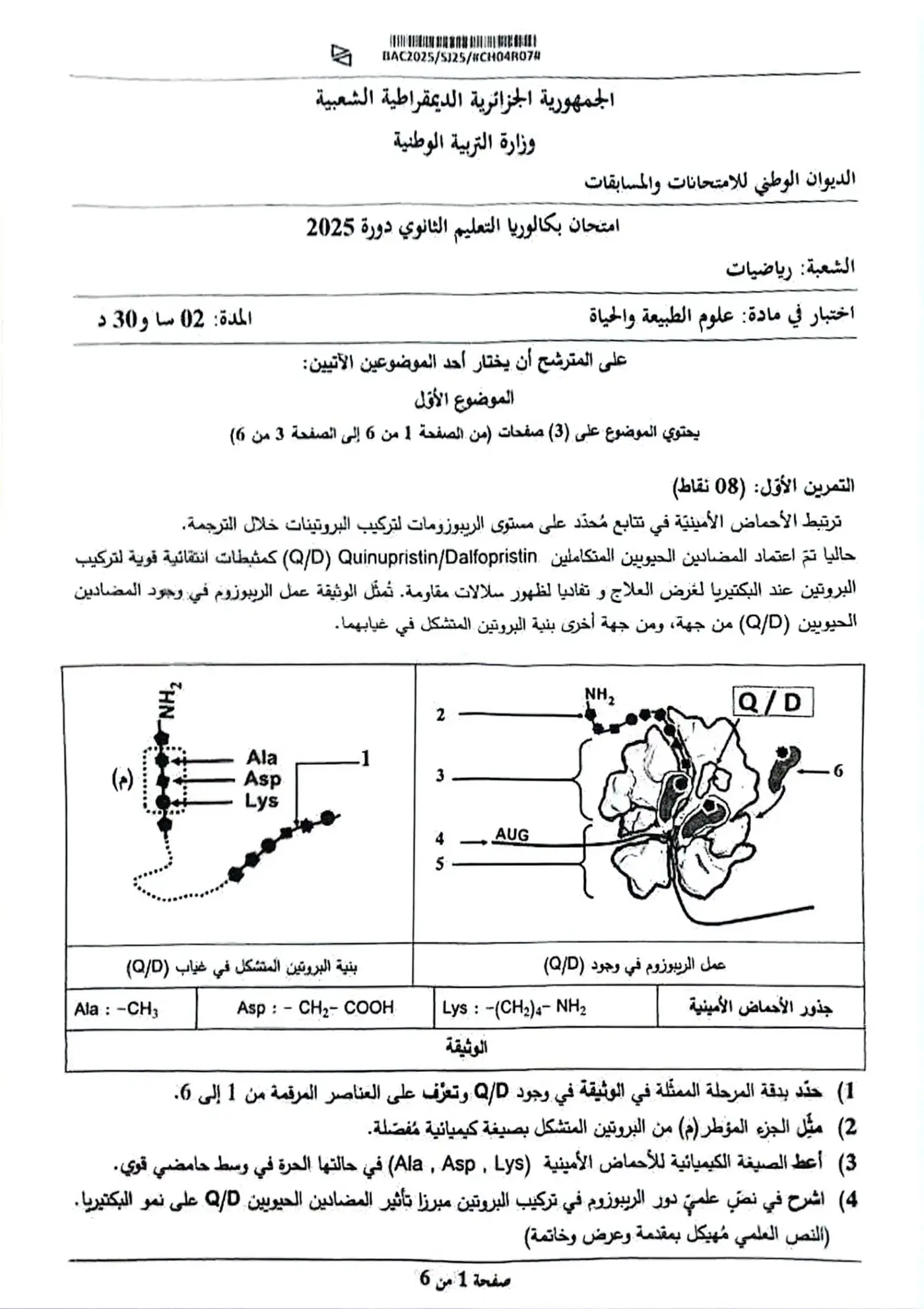الصفحة 1 من 6