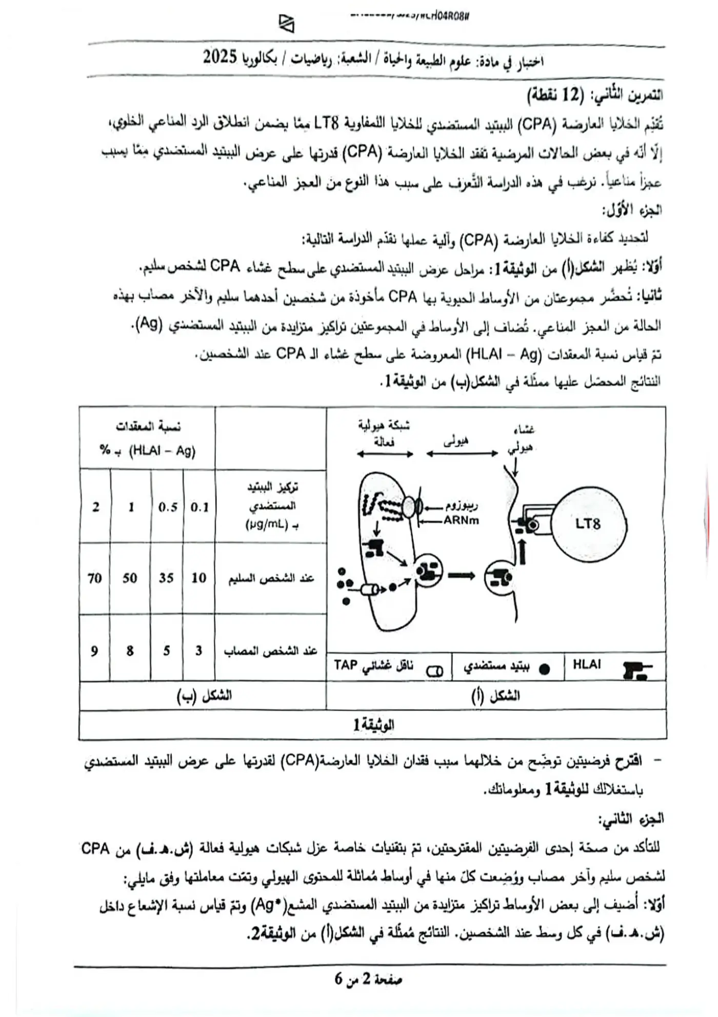 الصفحة 2 من 6