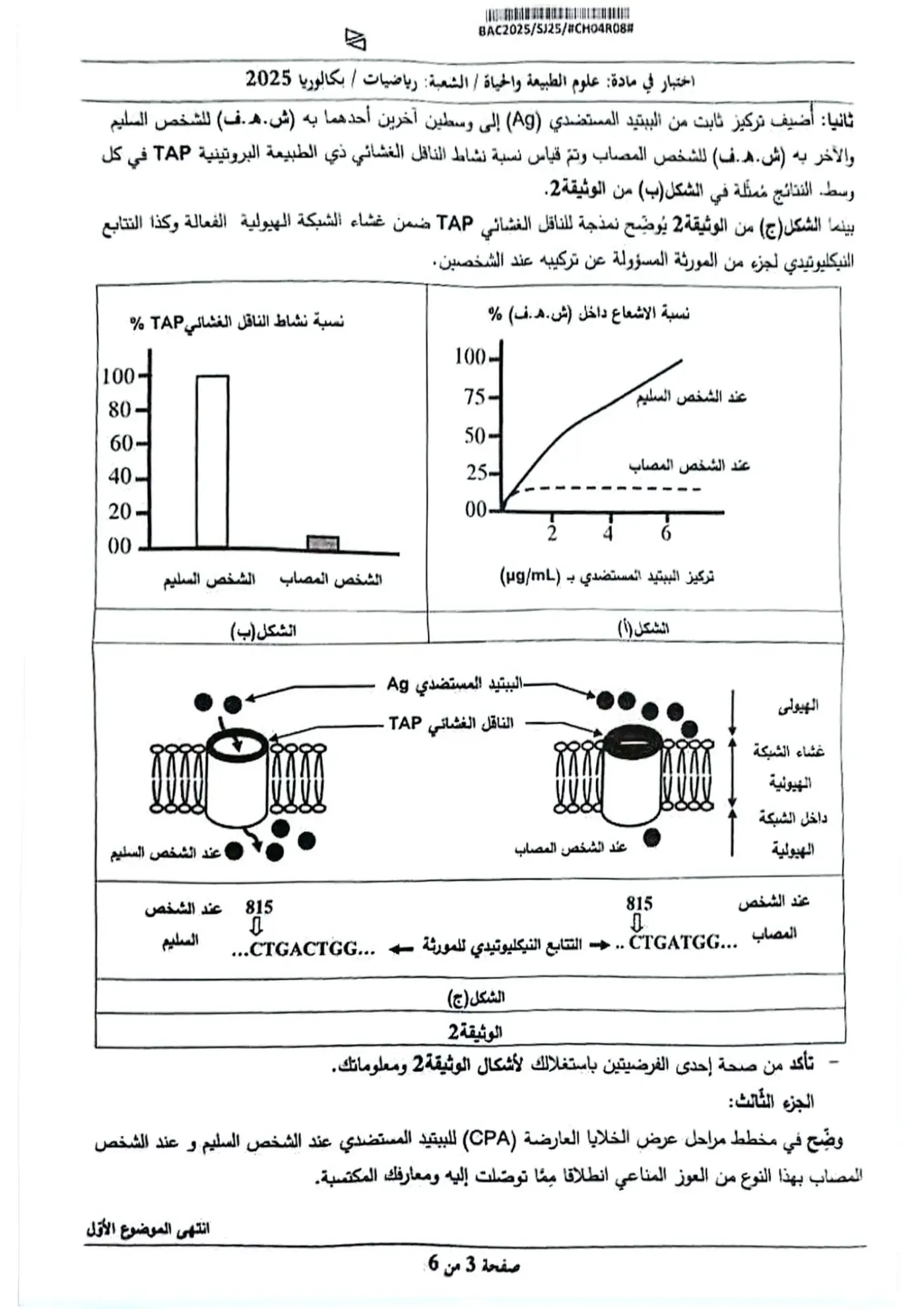 الصفحة 3 من 6