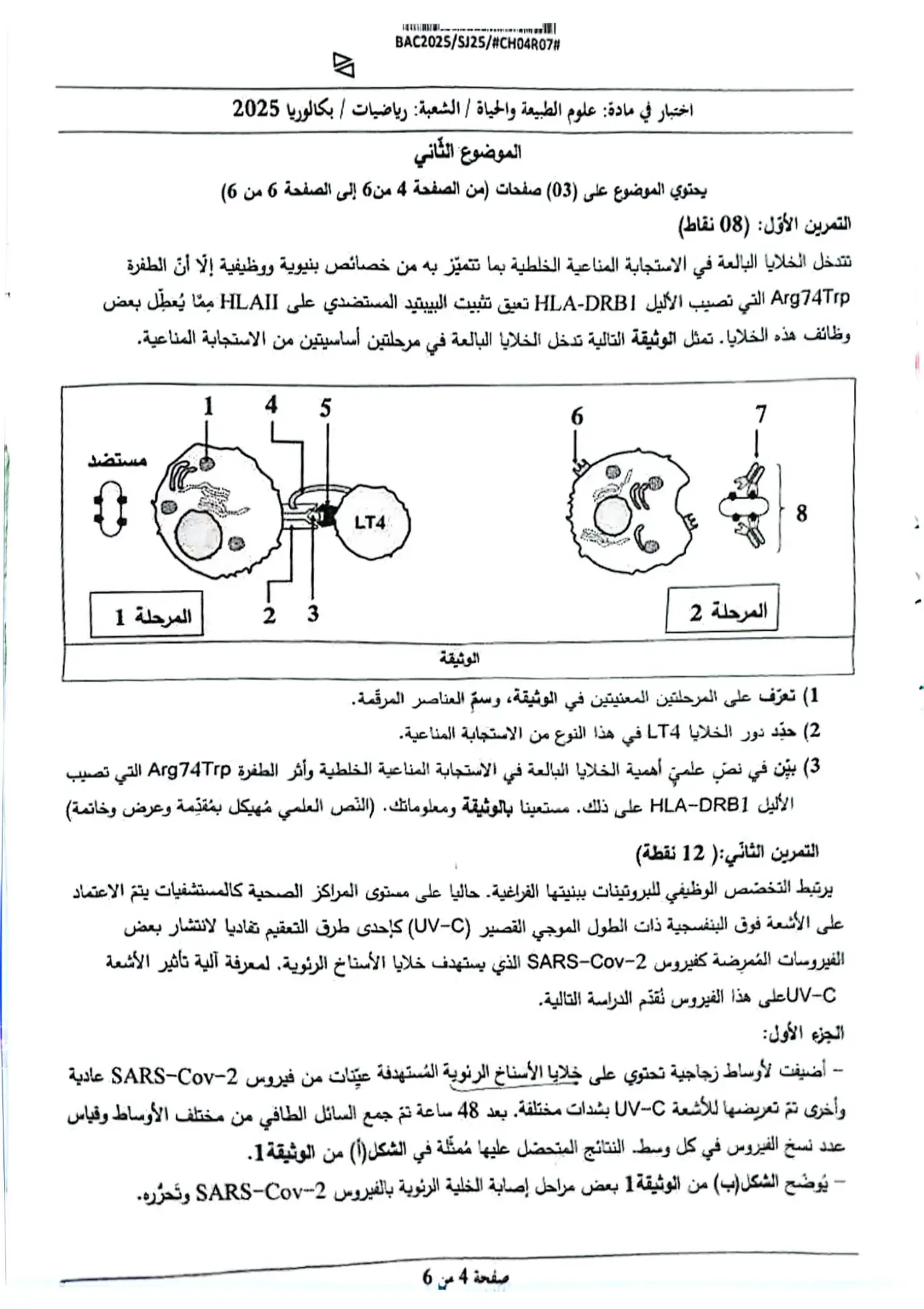 الصفحة 4 من 6