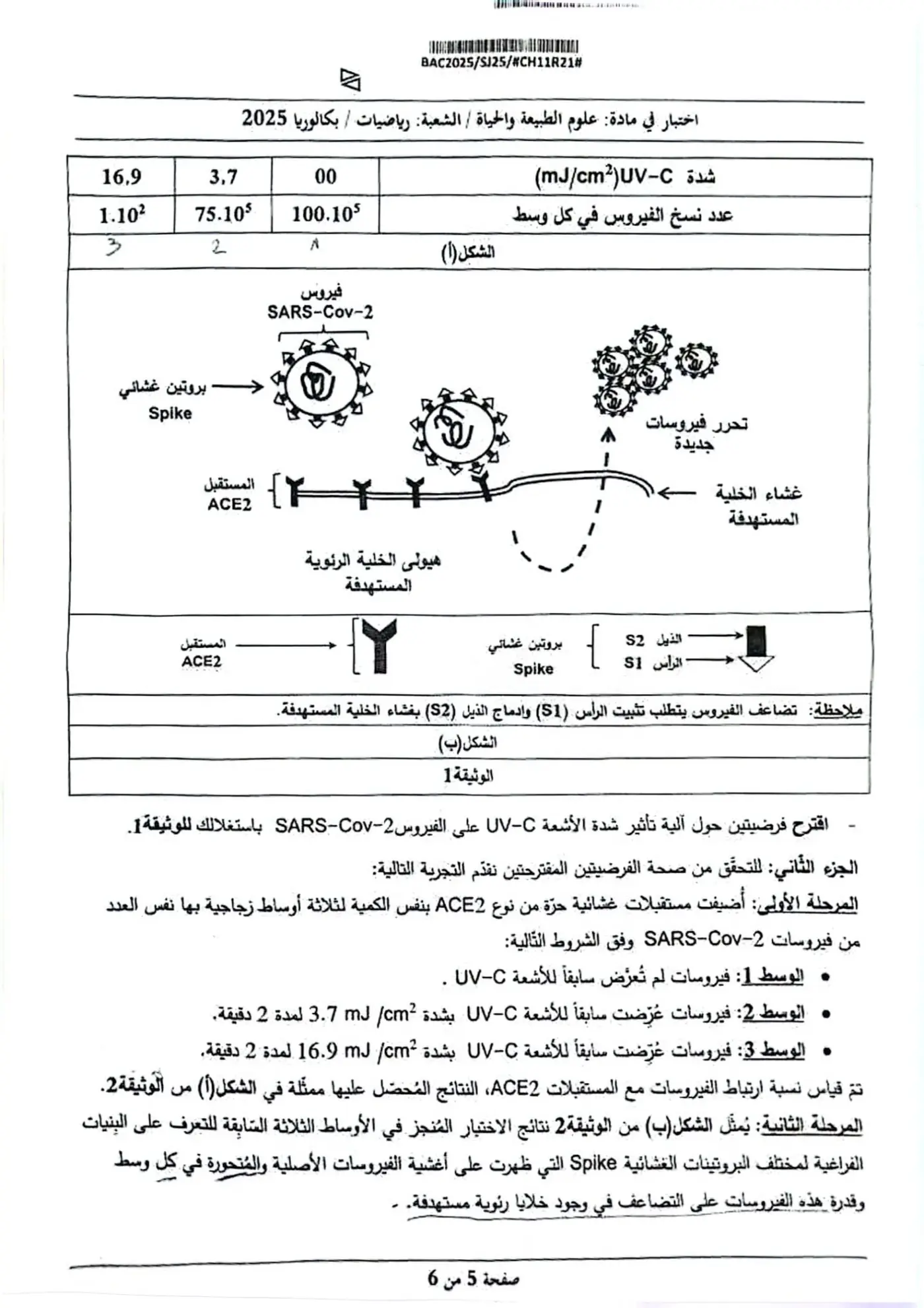 الصفحة 5 من 6