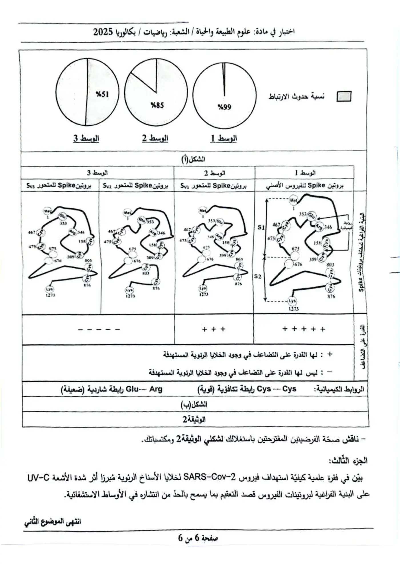 الصفحة 6 من 6