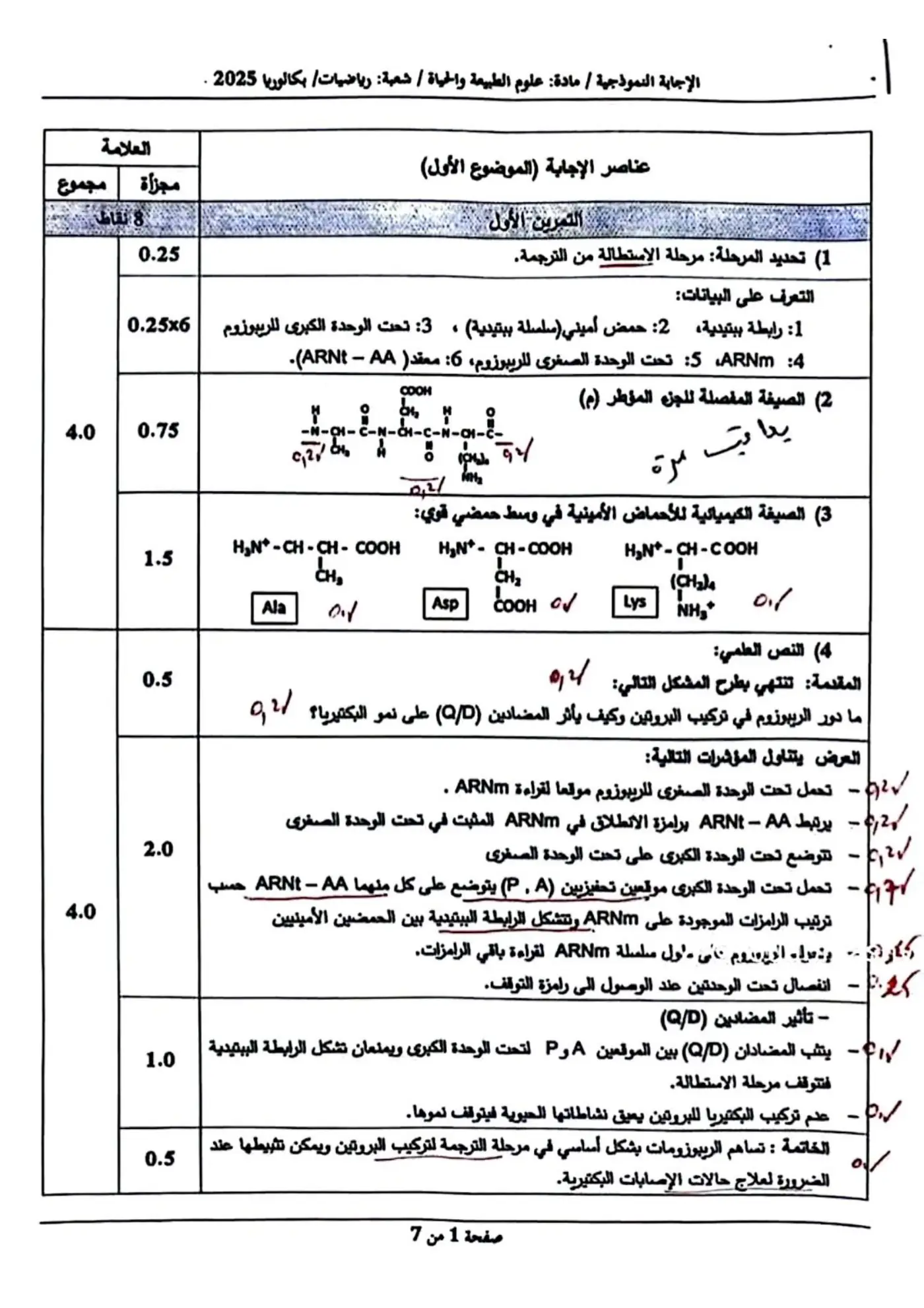 الصفحة 1 من 7